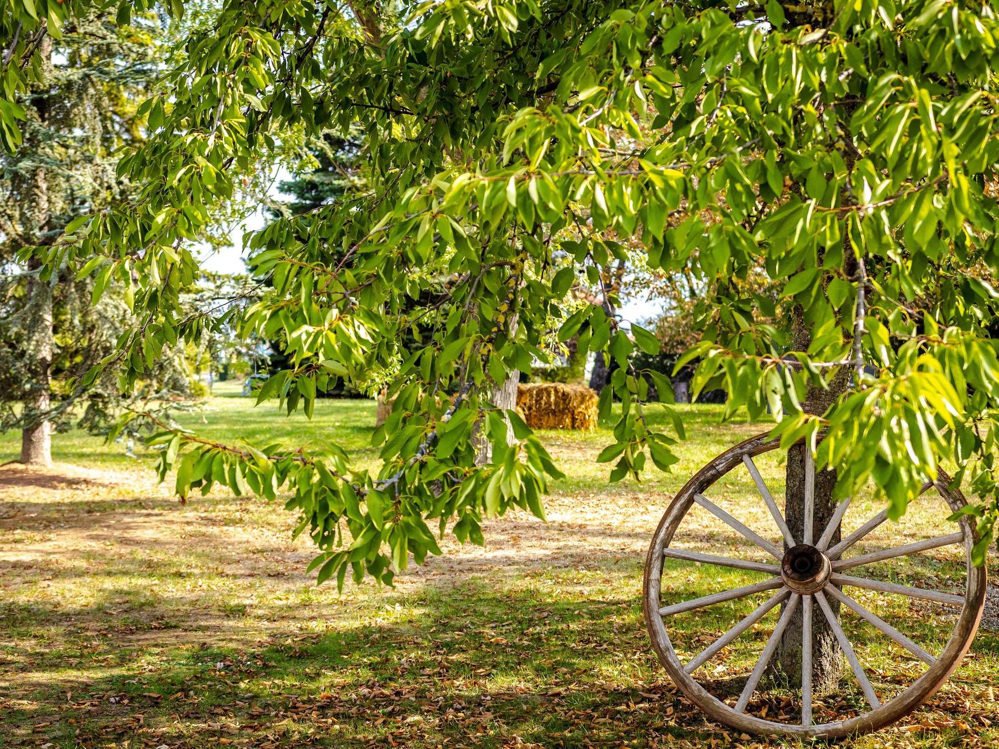 Foto - Novotel Mulhouse Bâle Fribourg