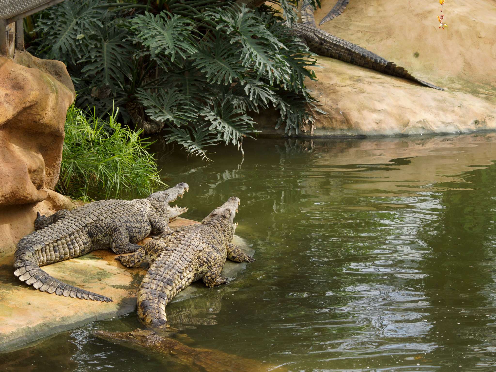 Foto - Novotel Valence Sud