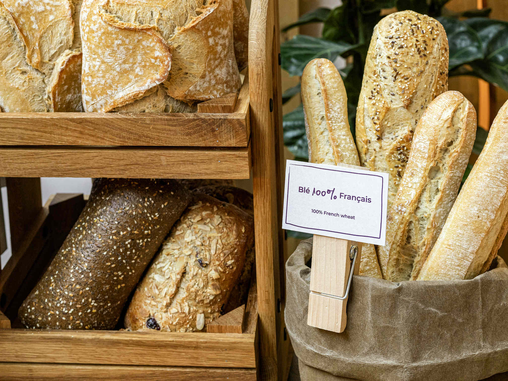 Foto - Novotel Roissy Saint Witz