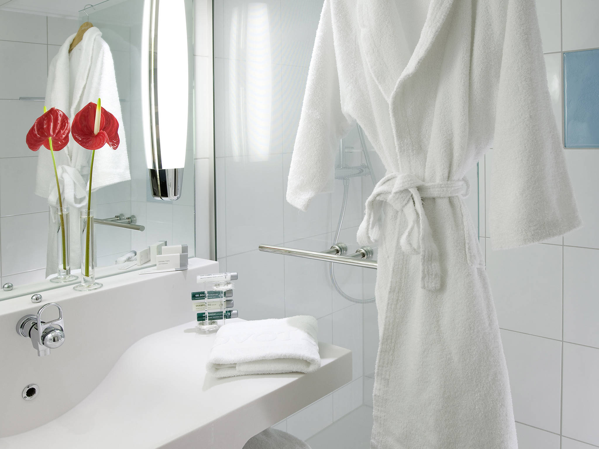 Foto - Novotel Roissy Saint Witz