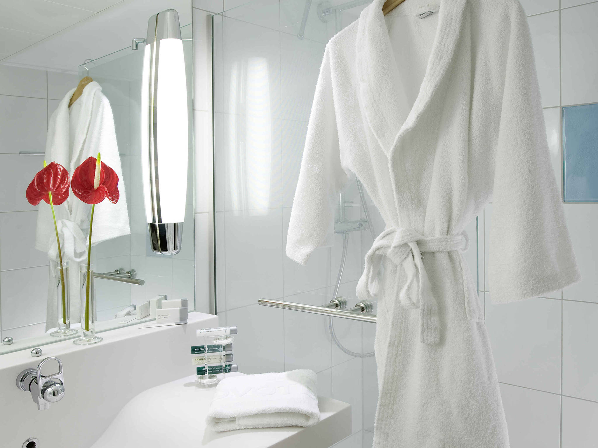 Foto - Novotel Roissy Saint Witz