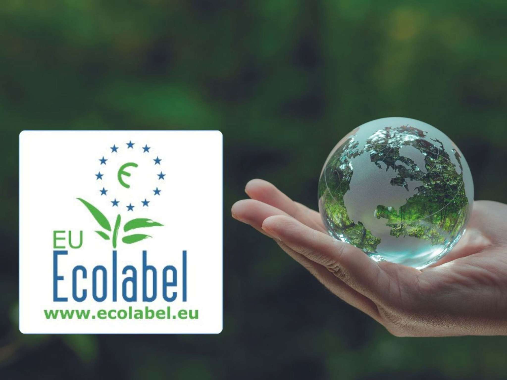 Photo - ibis Rennes Cesson