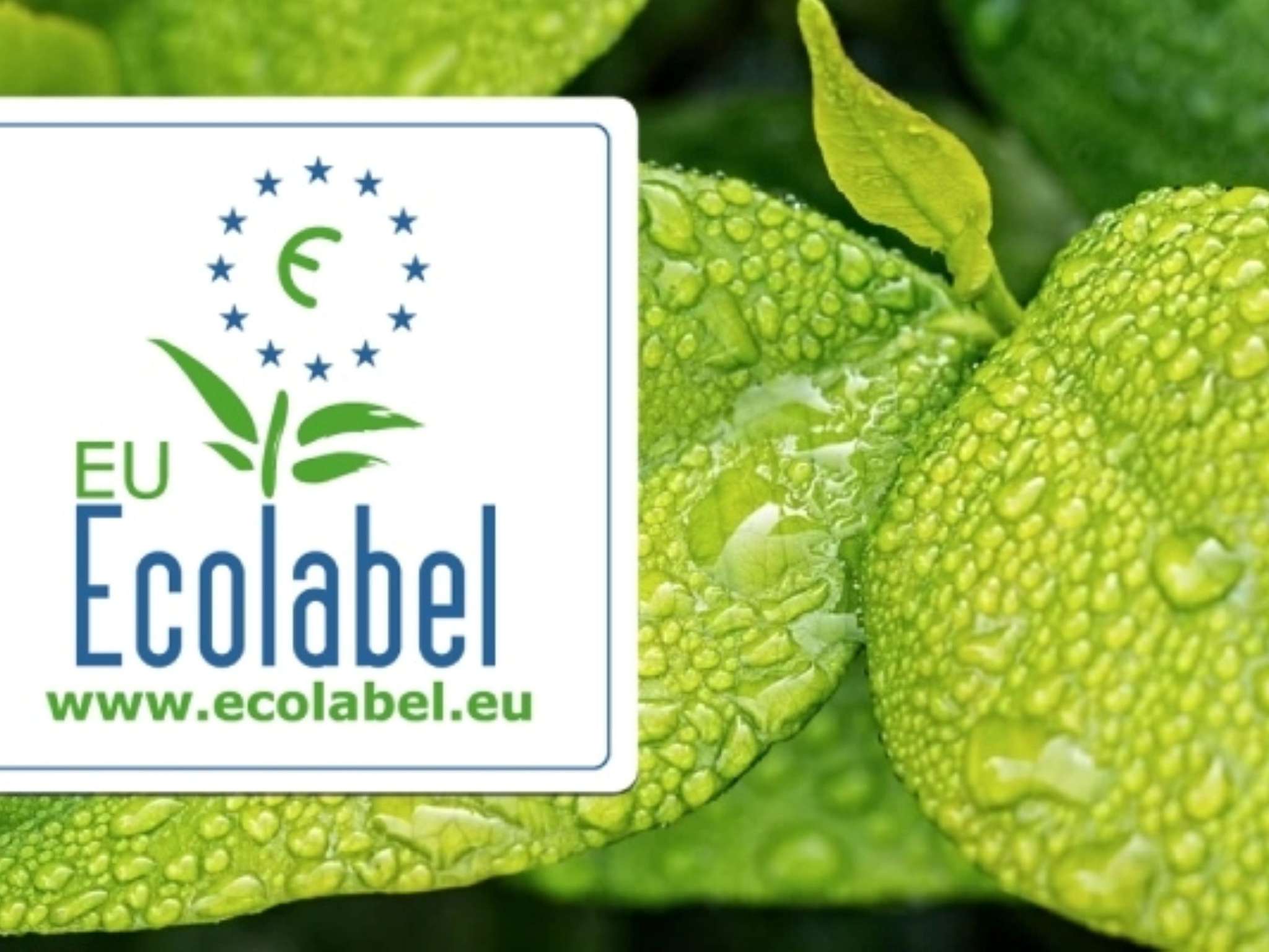 Photo - ibis Rennes Cesson