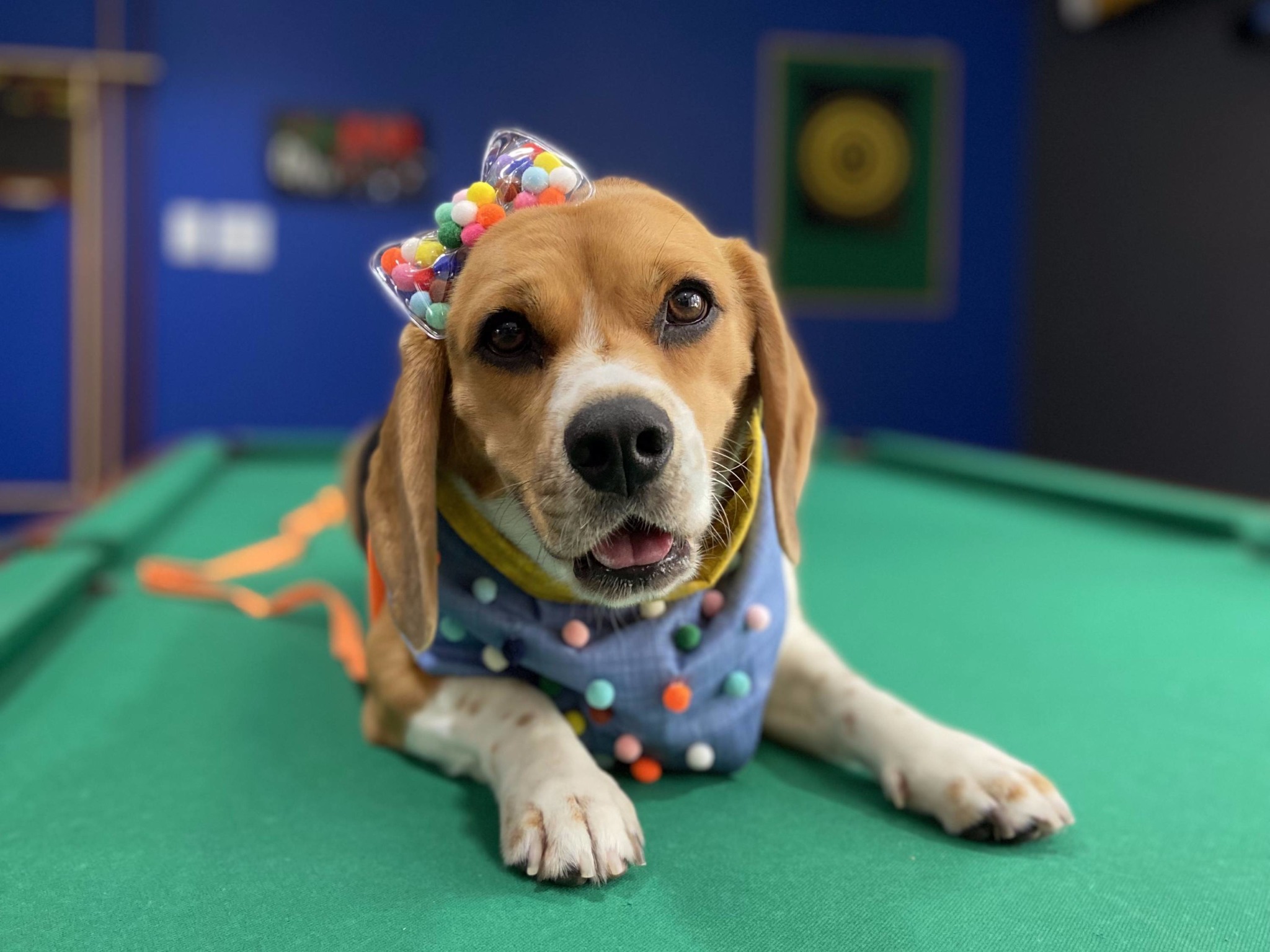 Foto - Novotel Sao Jose dos Campos