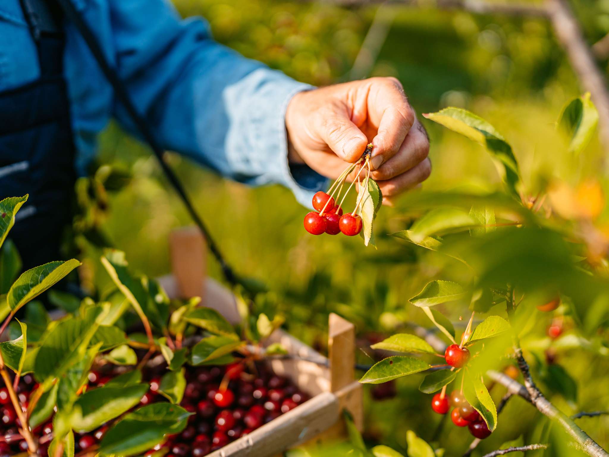 Foto - Novotel Sao Jose dos Campos