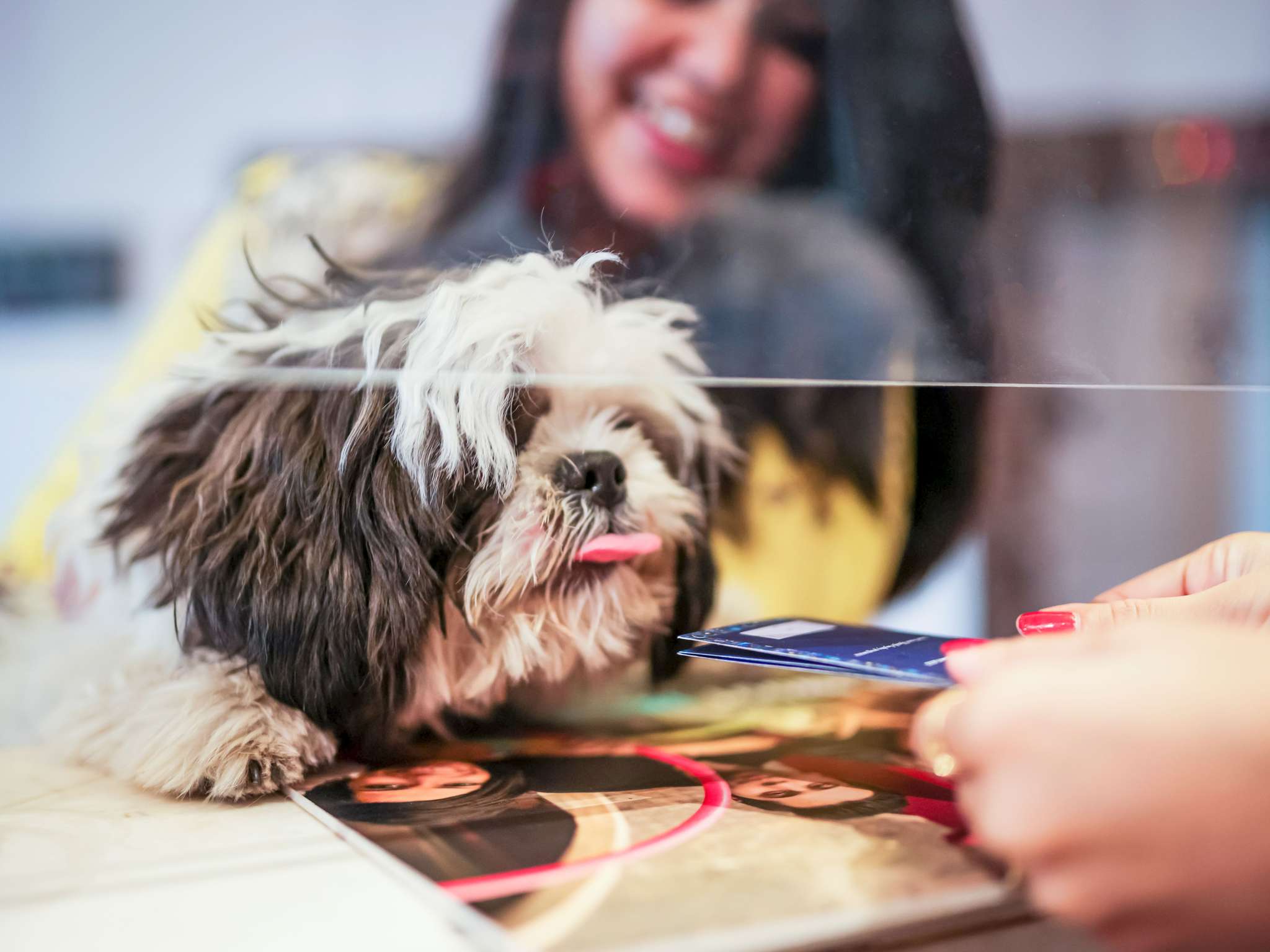 Foto - ibis Lyon Gerland Merieux