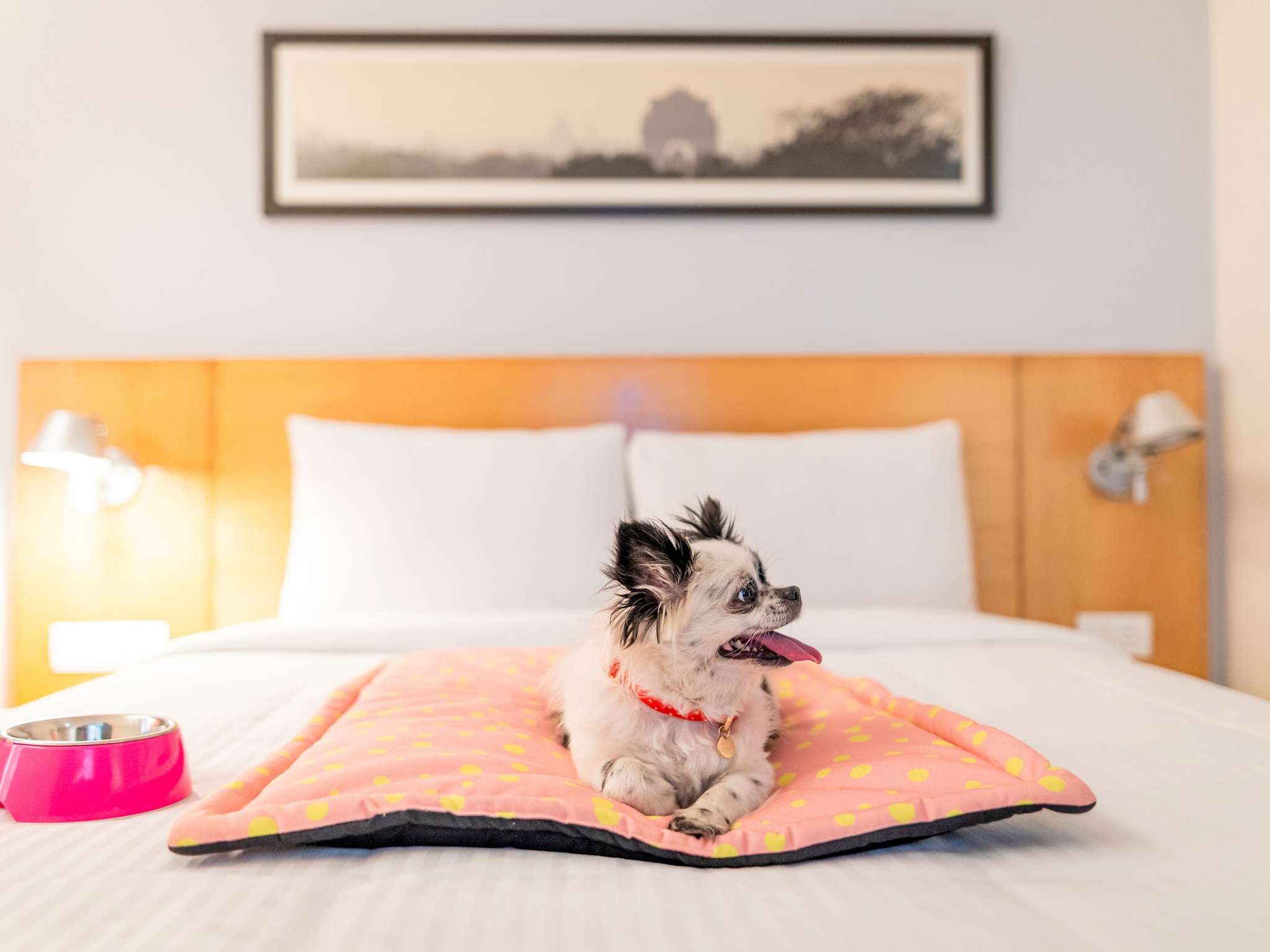 Foto - ibis Lyon Gerland Merieux