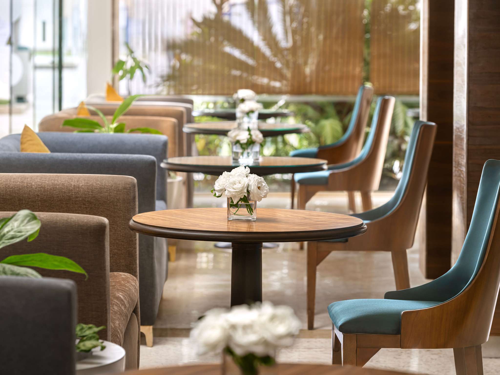 Foto - Novotel Cairo Airport