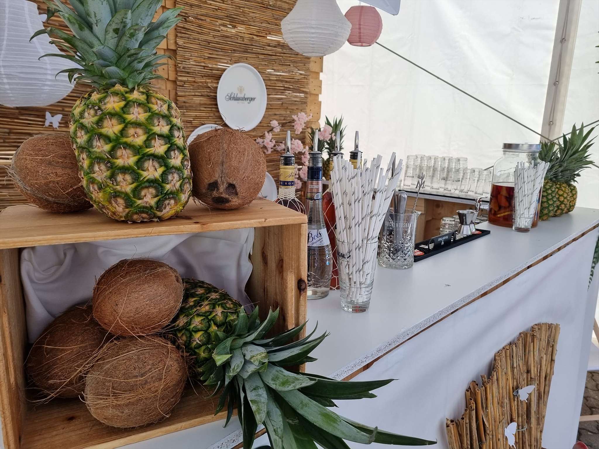 Photo - Ibis Styles Linz