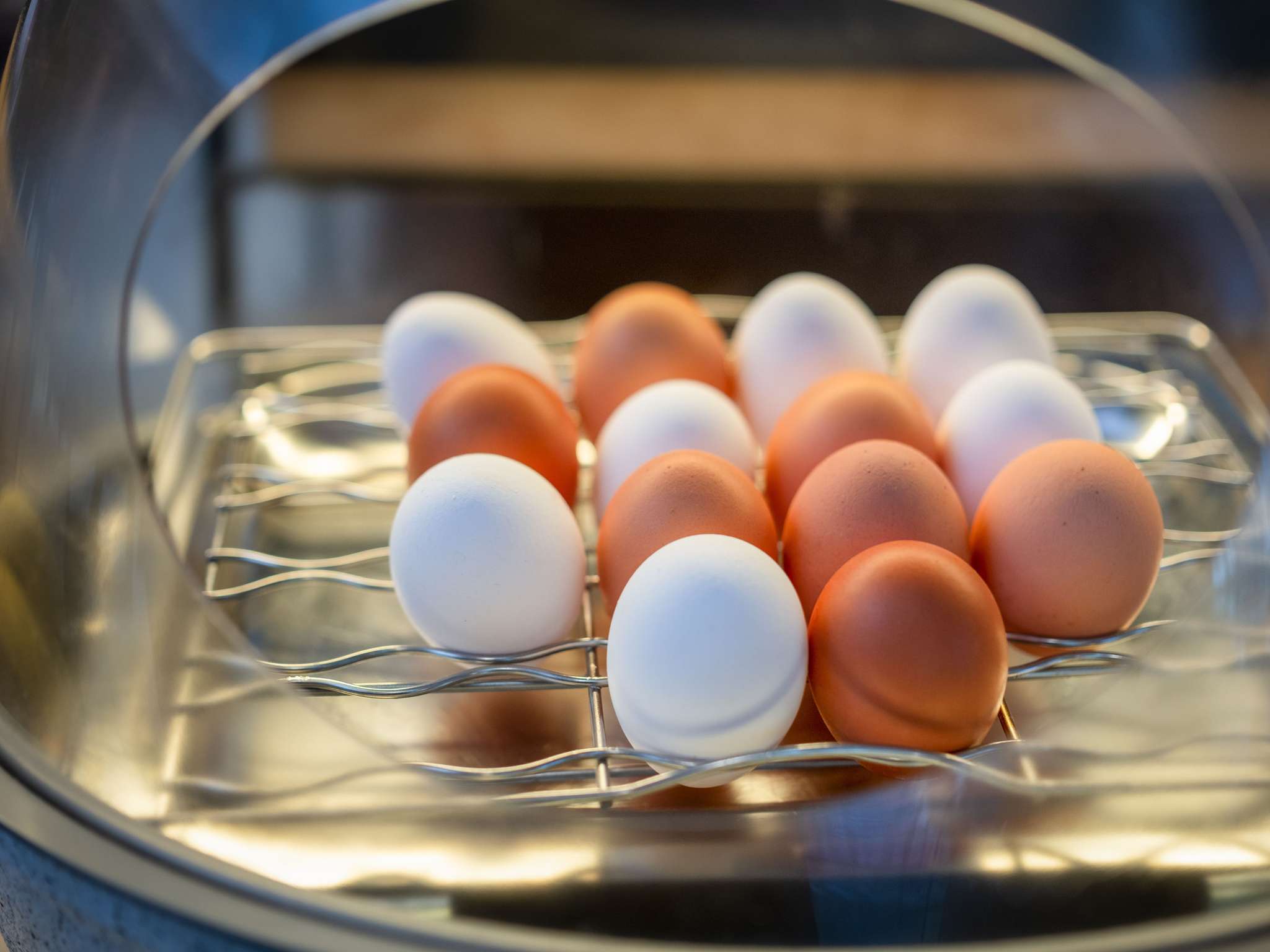 Photo - Ibis Styles Linz