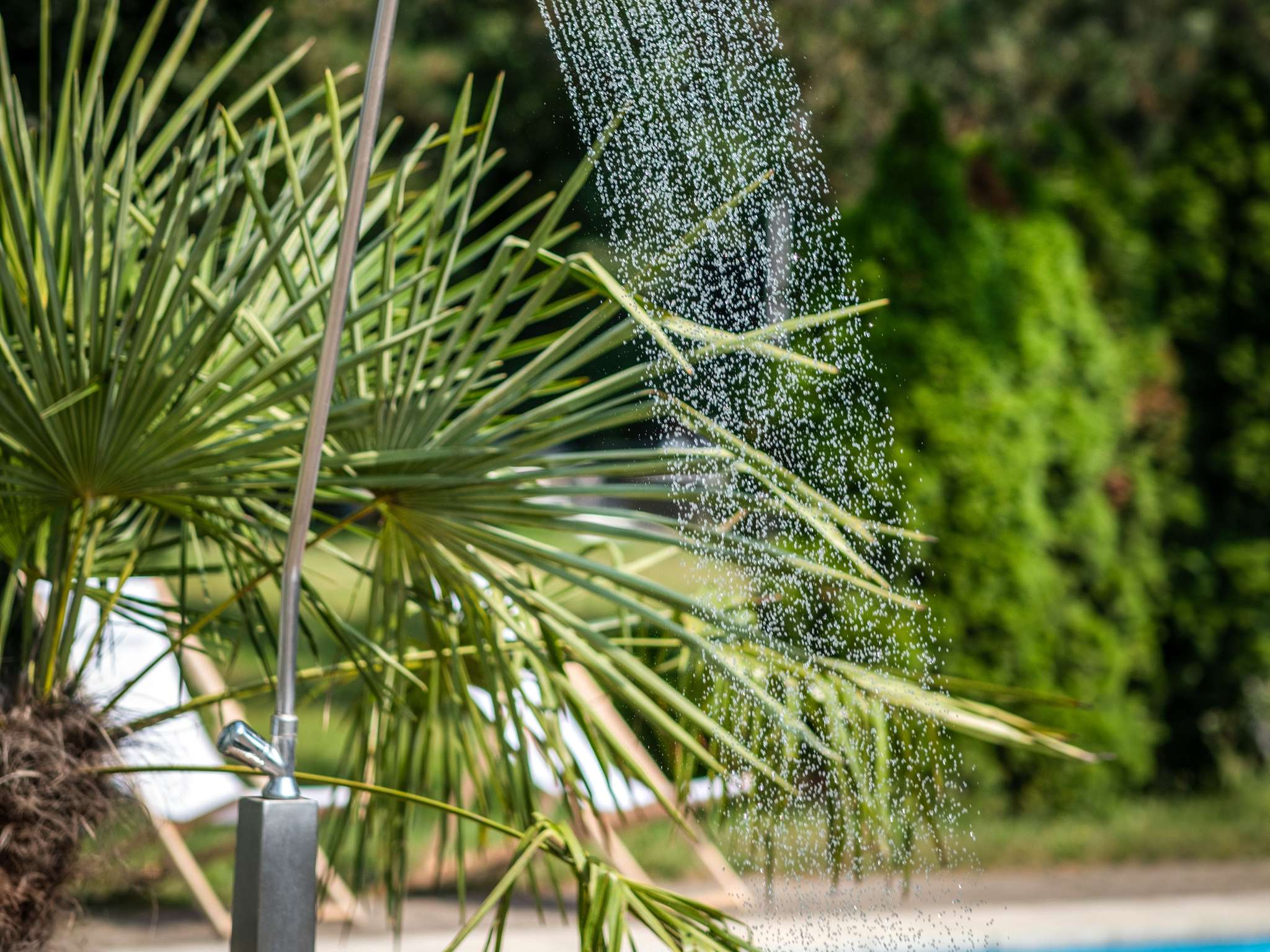 Photo - Ibis Styles Linz