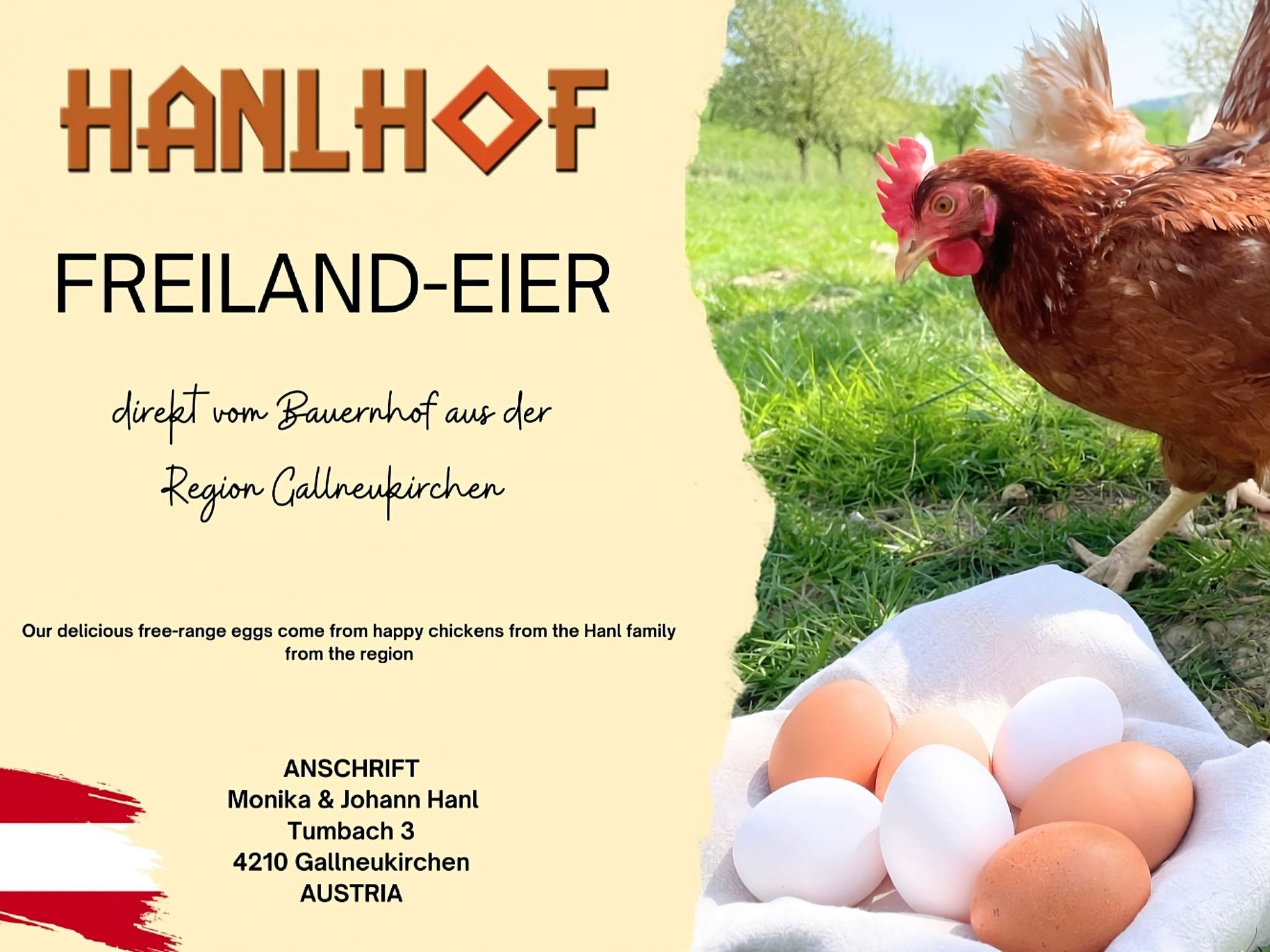 Photo - Ibis Styles Linz