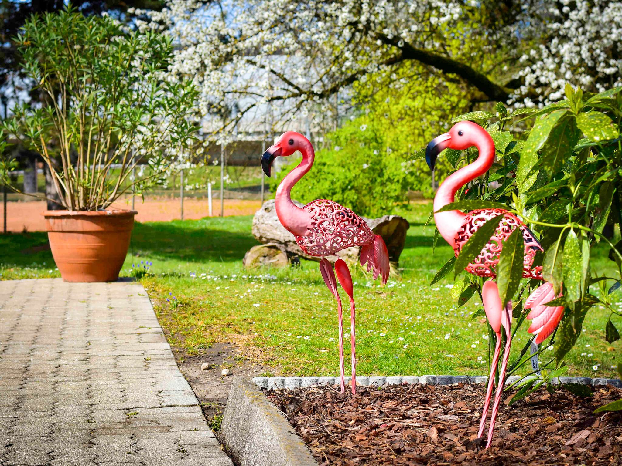 Photo - Ibis Styles Linz