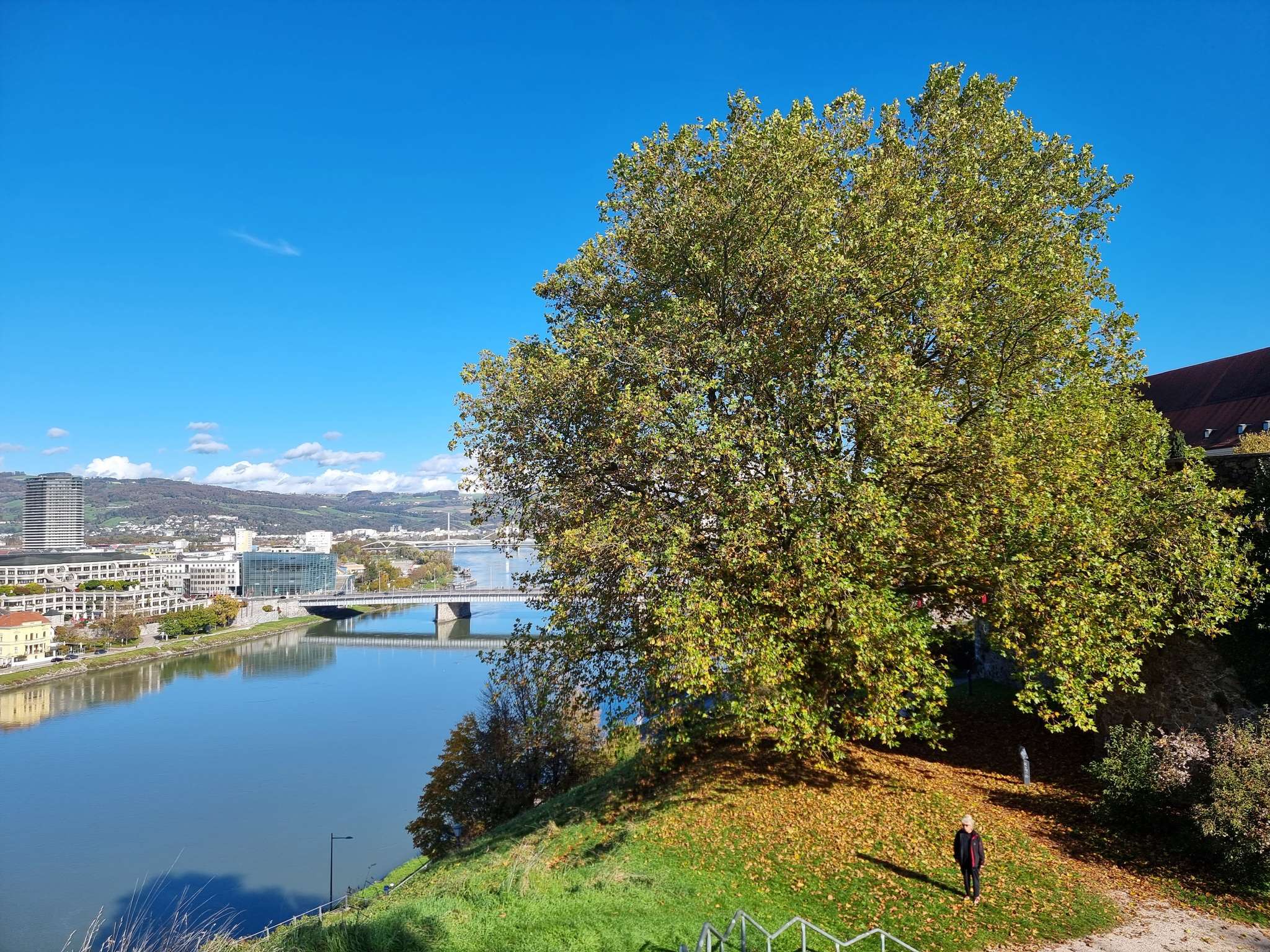 Photo - Ibis Styles Linz