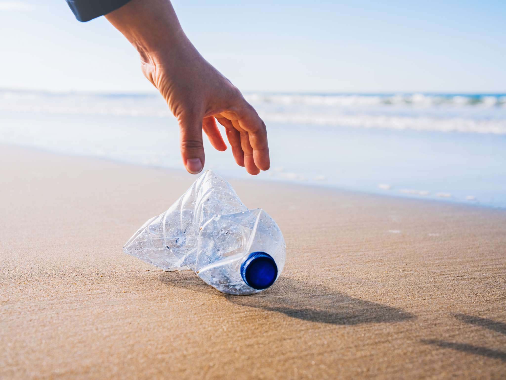 Foto - Novotel Poznań Malta