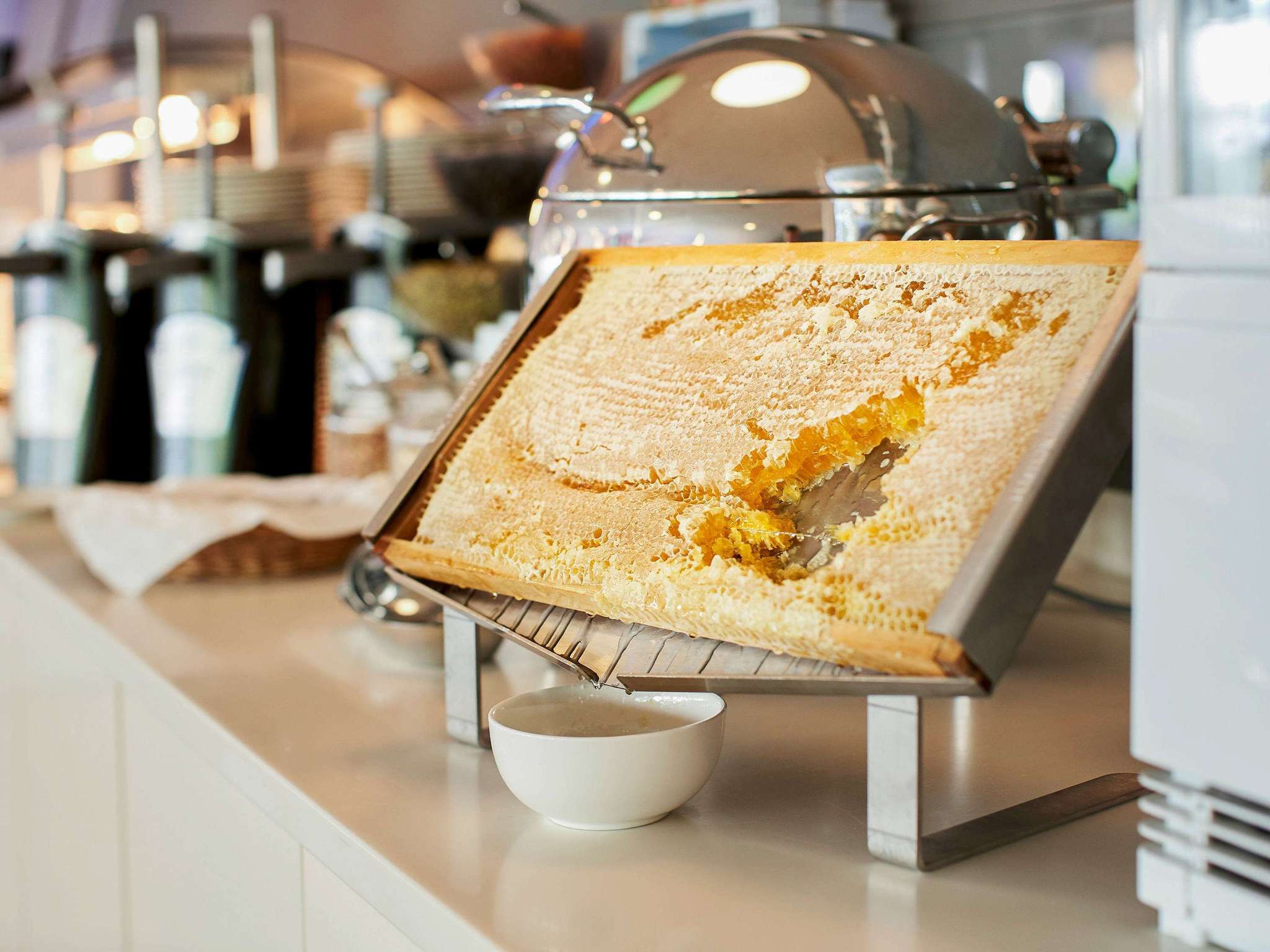 Photo - Novotel Wrocław City