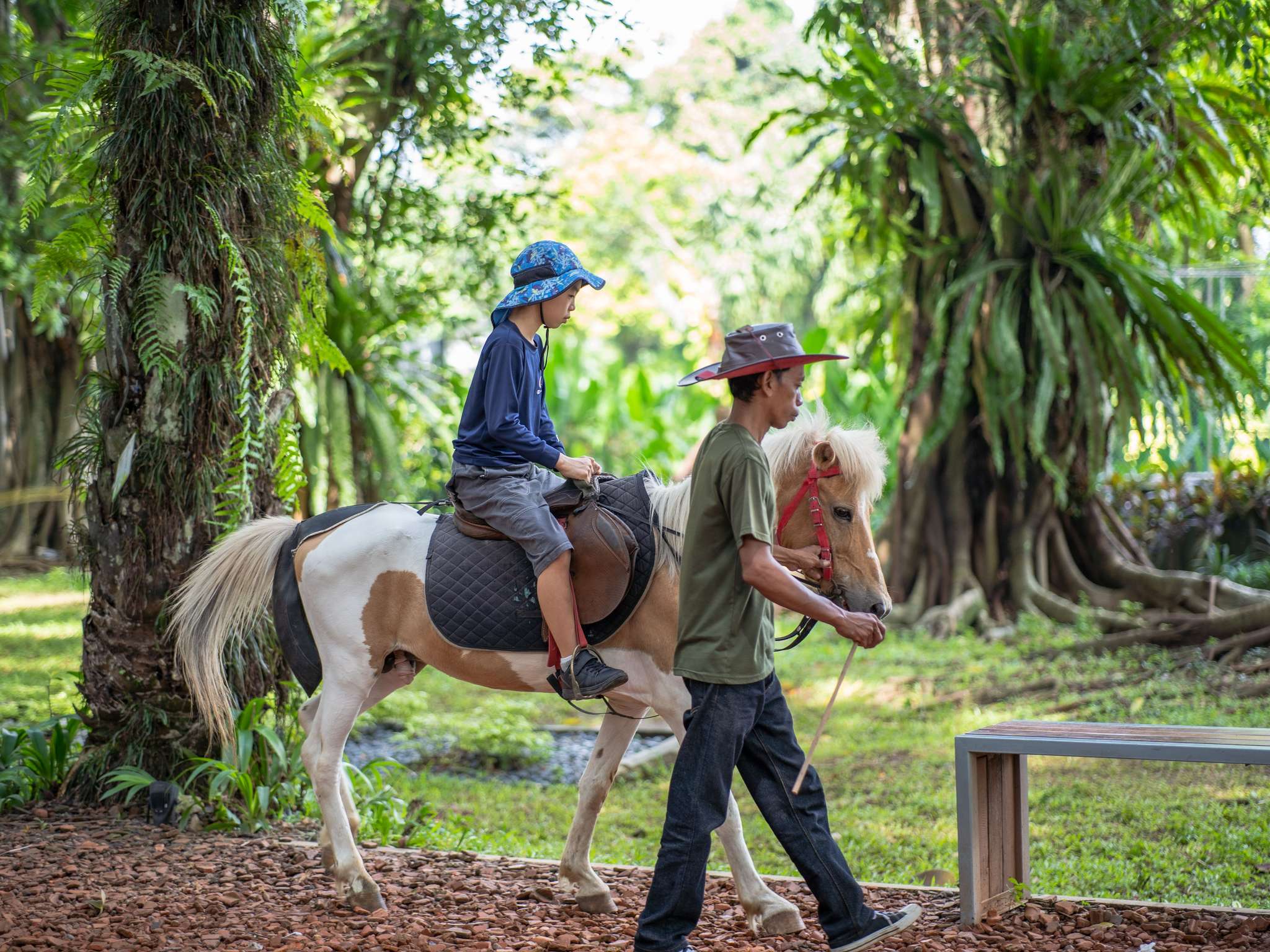Foto - Novotel Bogor Golf Resort