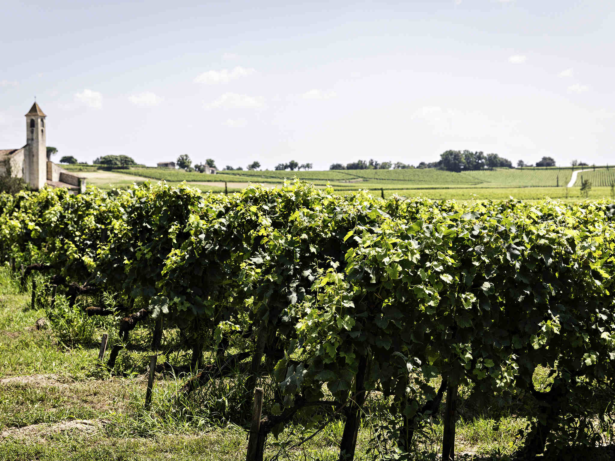 Photo - Mercure Bordeaux Lac