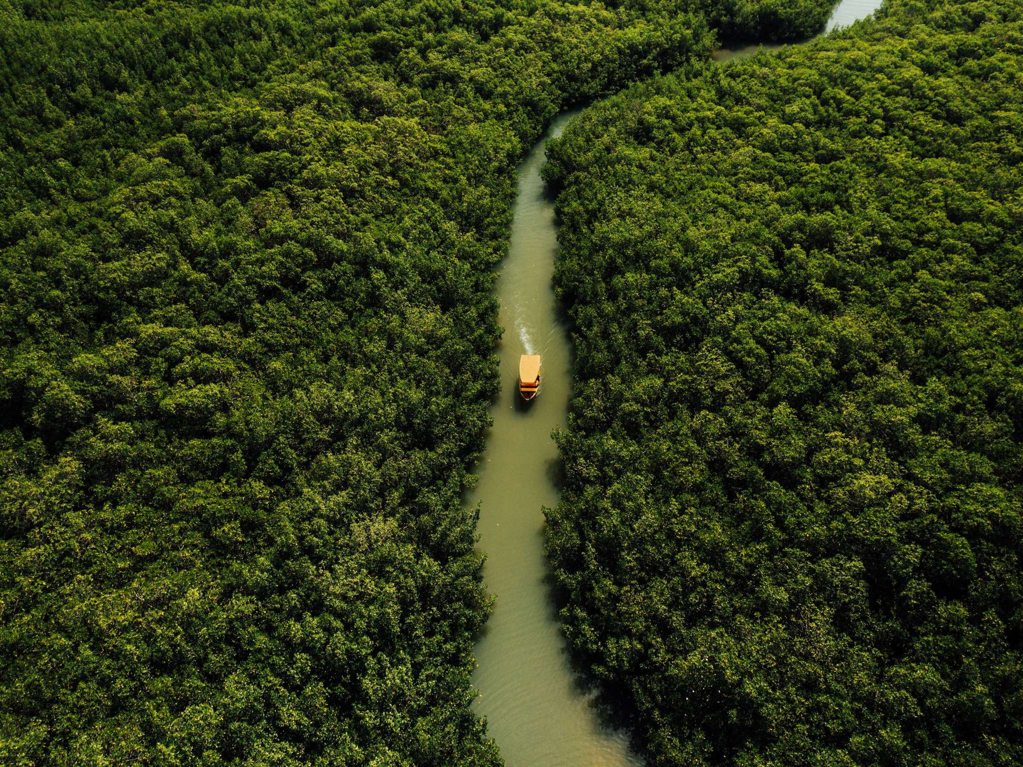 Foto - Pullman Dakar Teranga