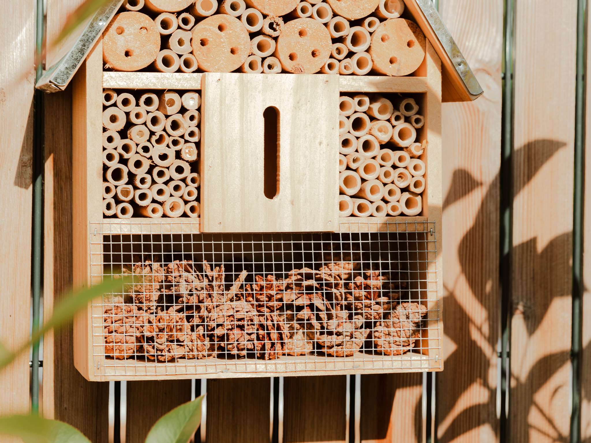 Photo - Pullman Toulouse