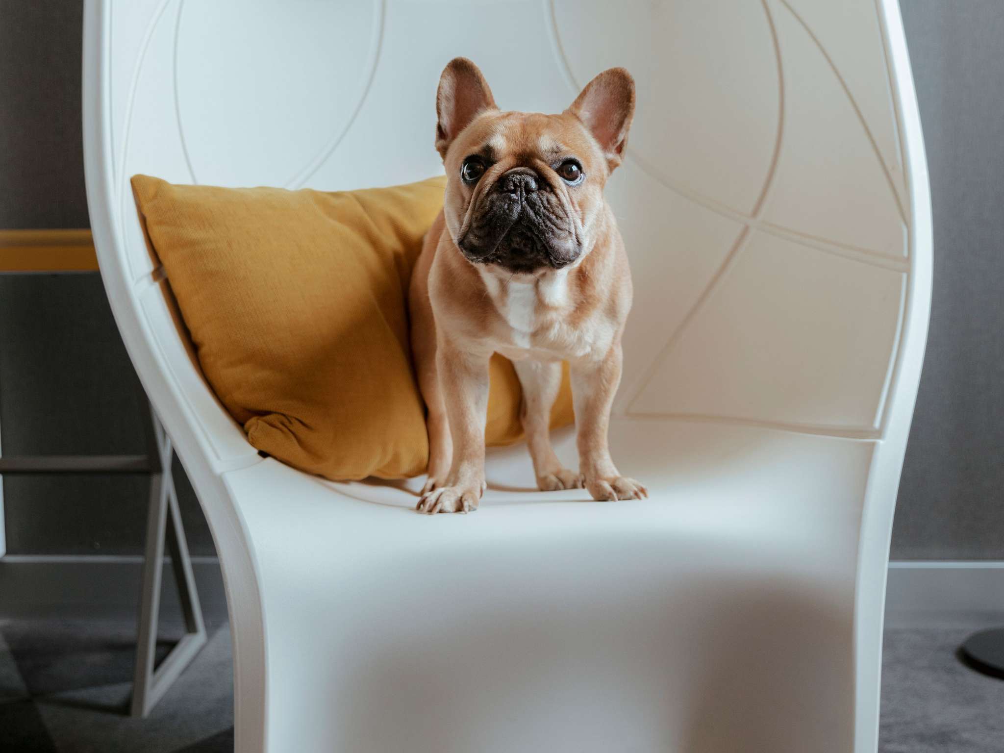 Photo - Pullman Toulouse