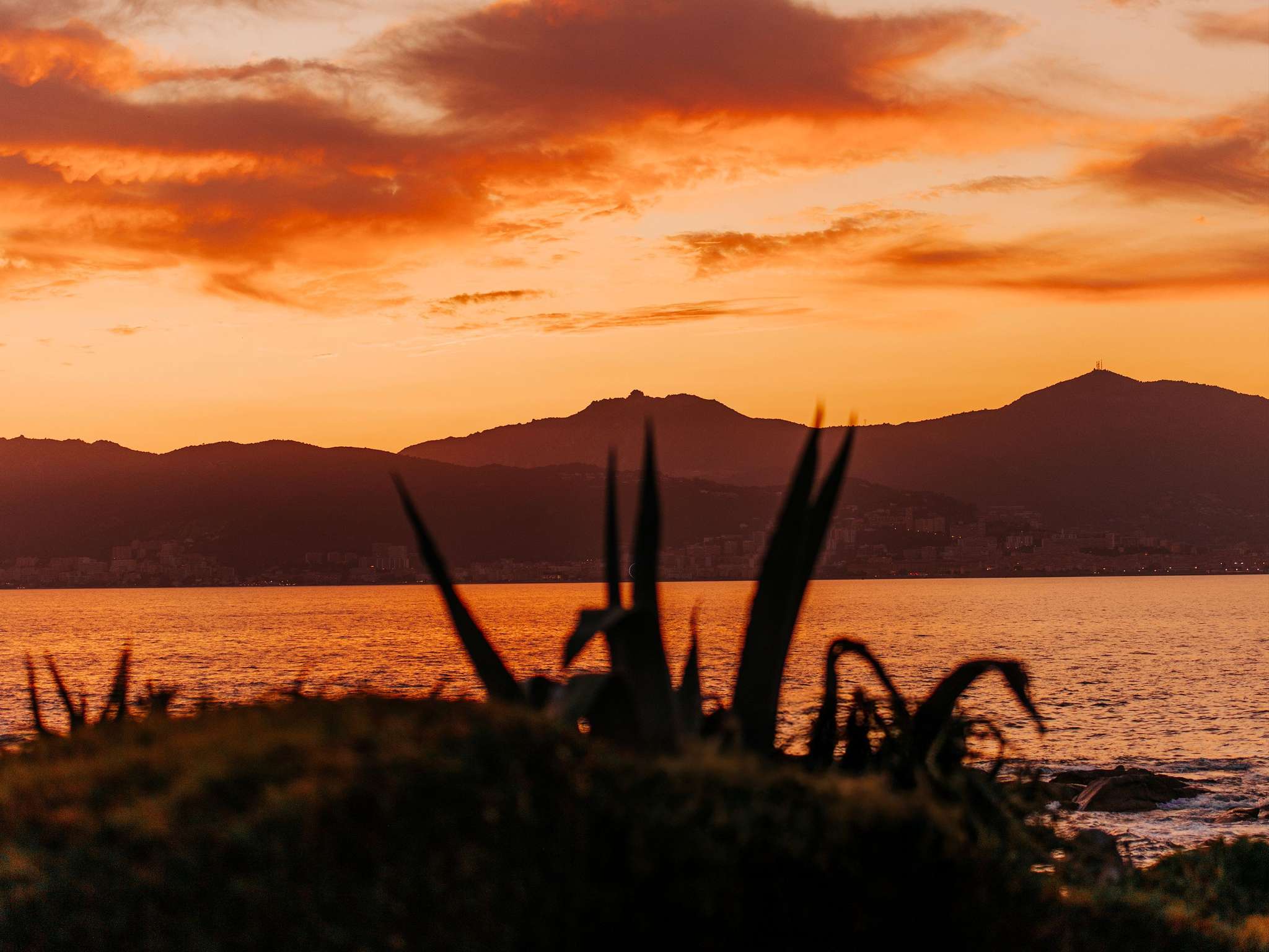 Photo - Sofitel Golfe d'Ajaccio Thalassa Sea & Spa