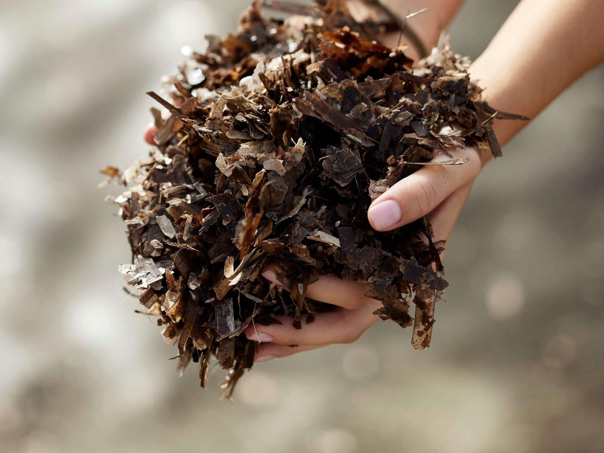 Photo - Sofitel Golfe d'Ajaccio Thalassa Sea & Spa