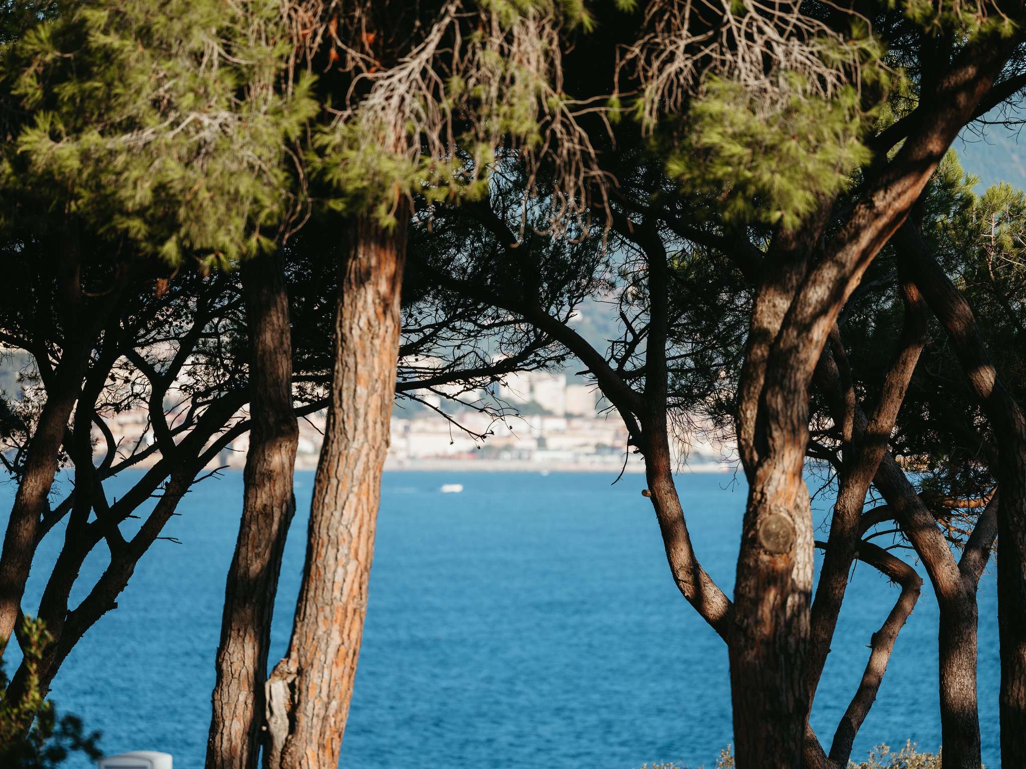 Photo - Sofitel Golfe d'Ajaccio Thalassa Sea & Spa