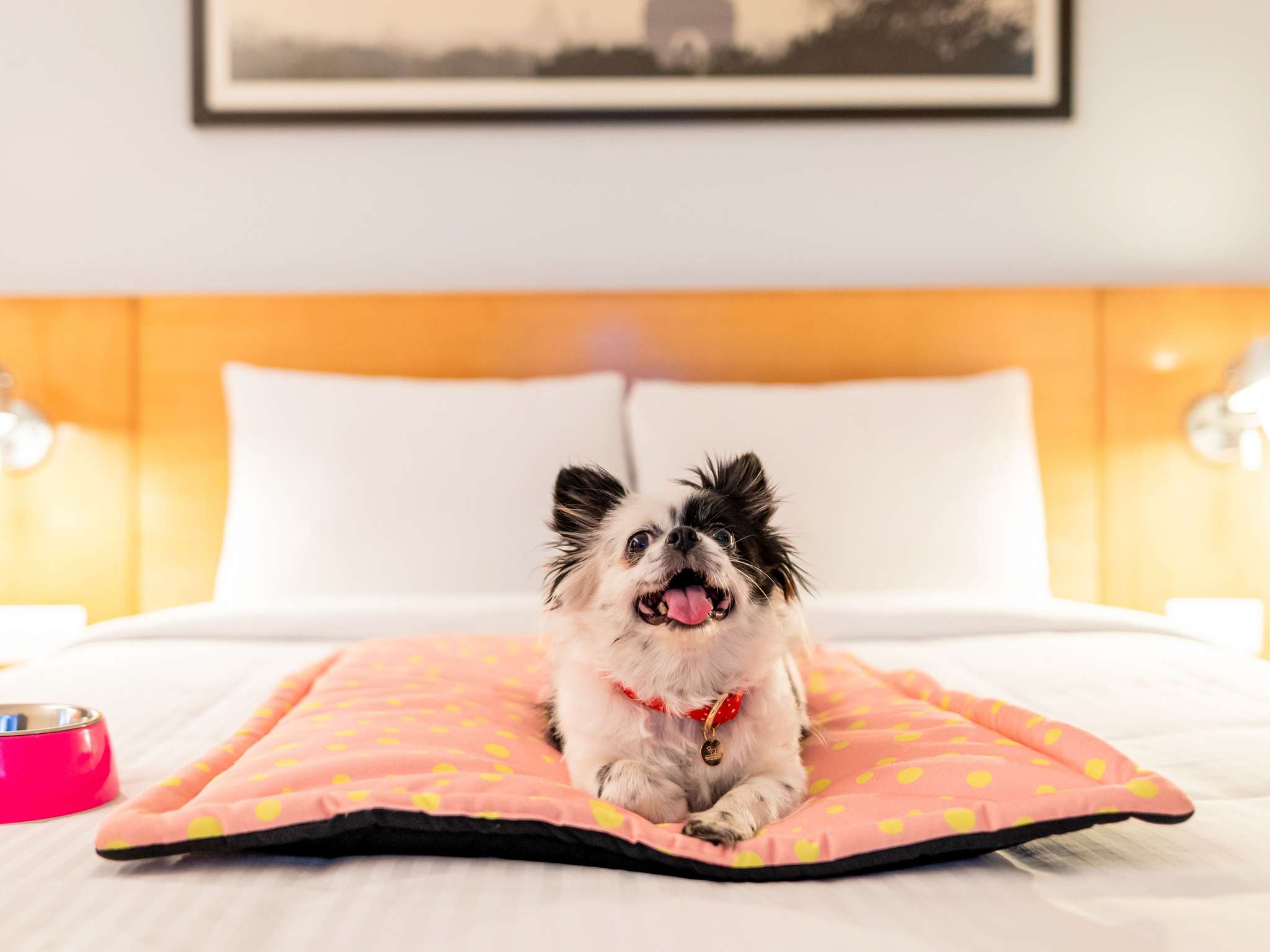 Photo - ibis Caen Porte d’Angleterre