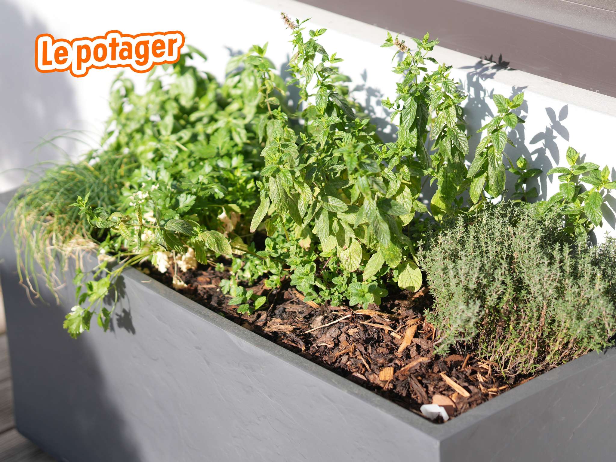 Photo - ibis Caen Porte d’Angleterre