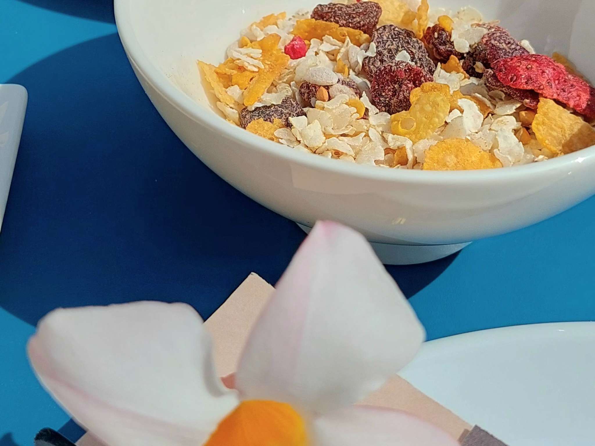 Foto - ibis Grenoble Centre Bastille