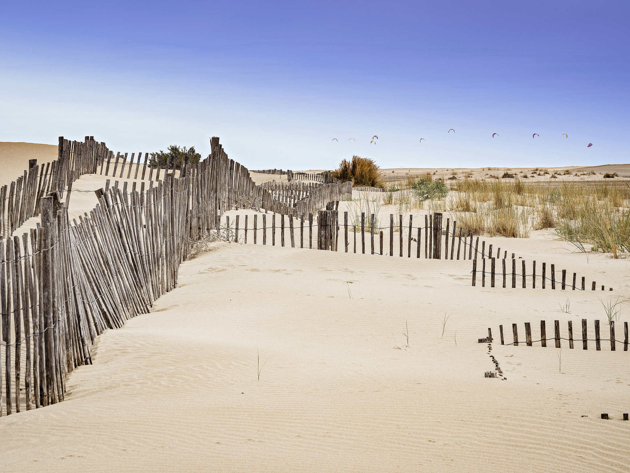 Foto - ibis Montpellier Sud