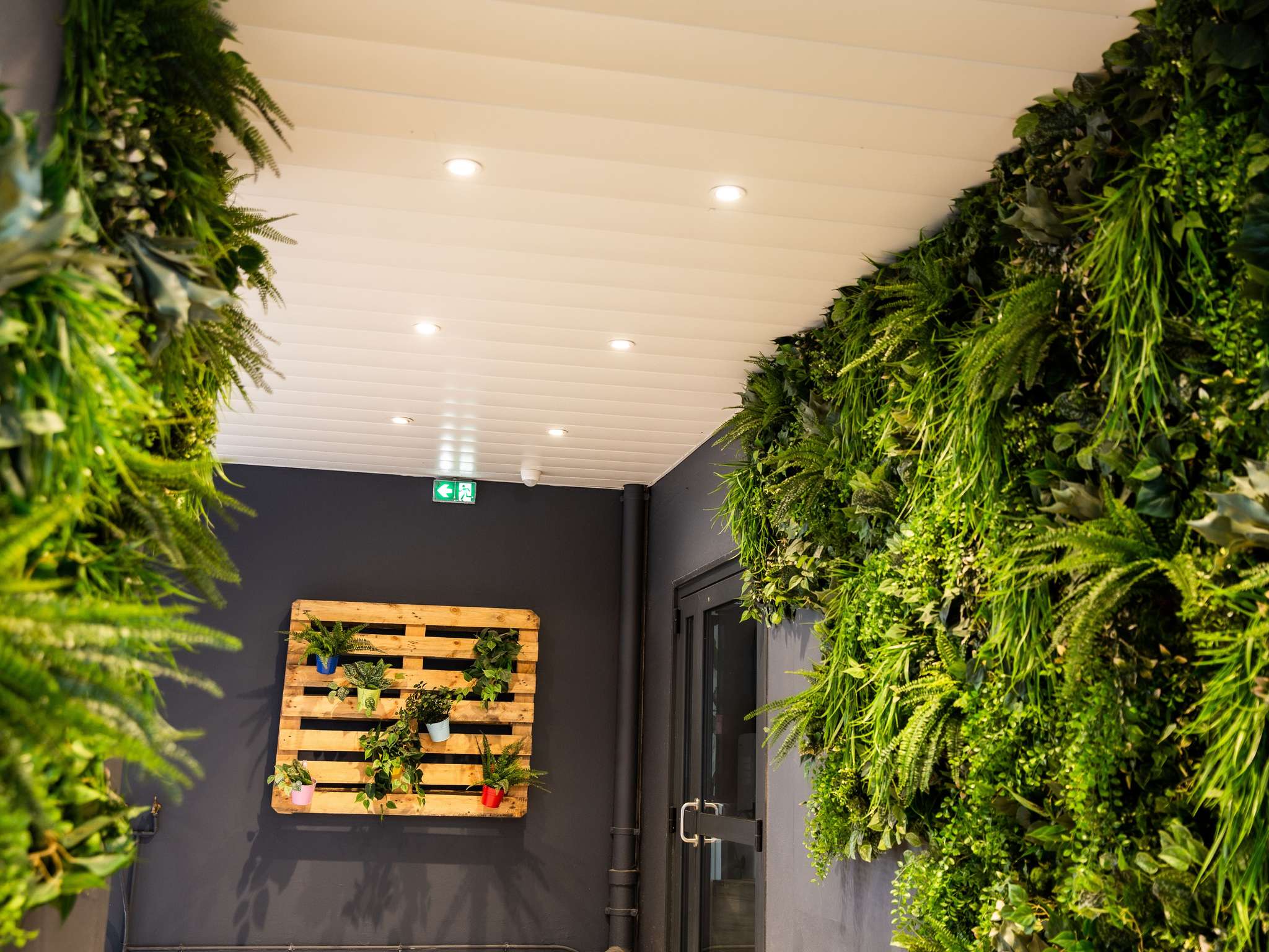 Photo - ibis budget Porte D'Orleans