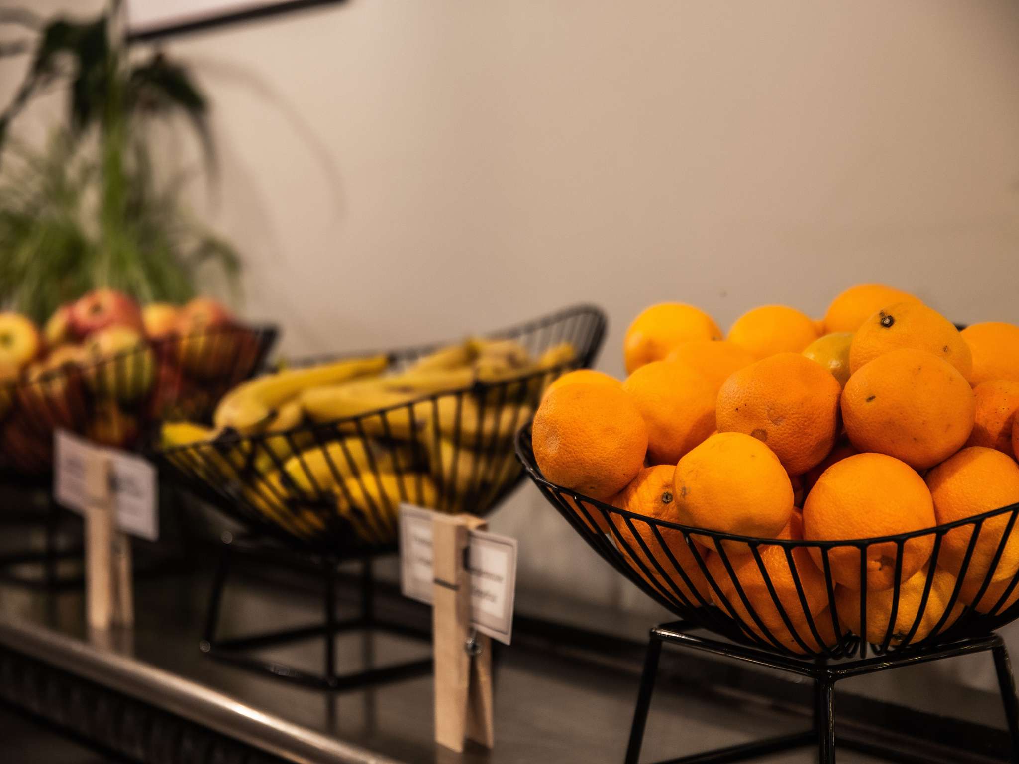 Photo - ibis budget Porte D'Orleans