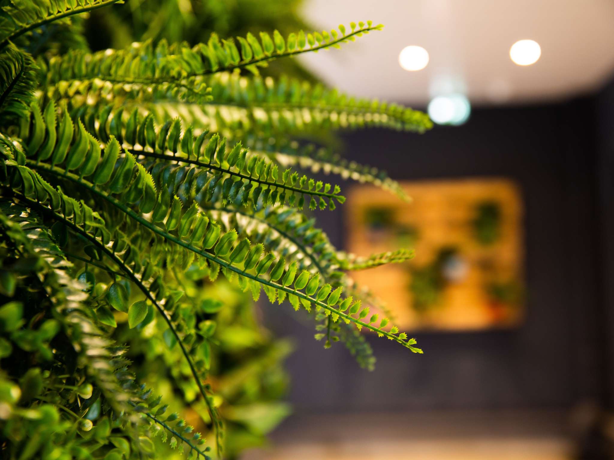 Photo - ibis budget Porte D'Orleans