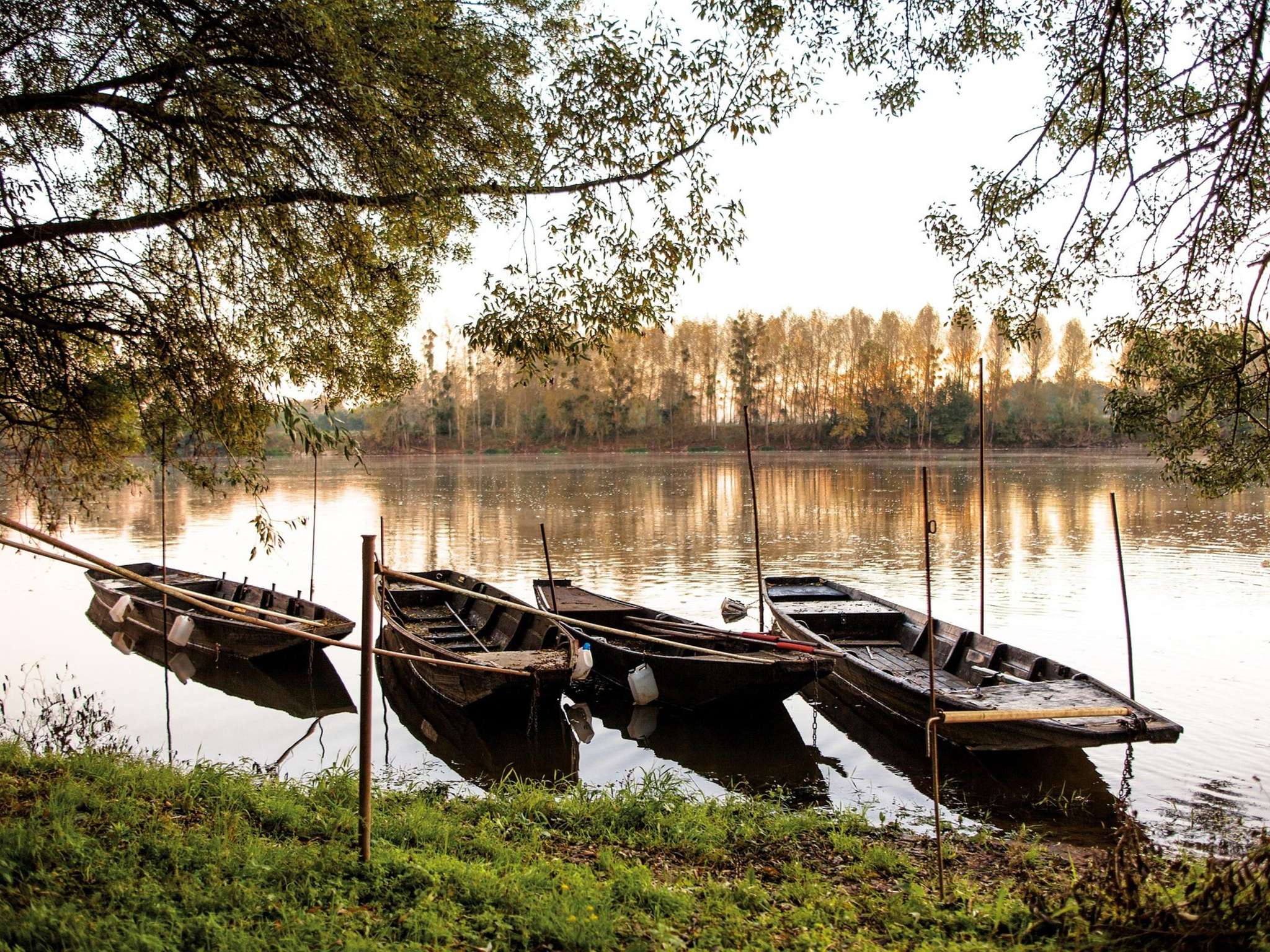 Photo - ibis Styles Tours Sud