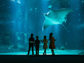 Foto - ibis Thalassa Le Touquet