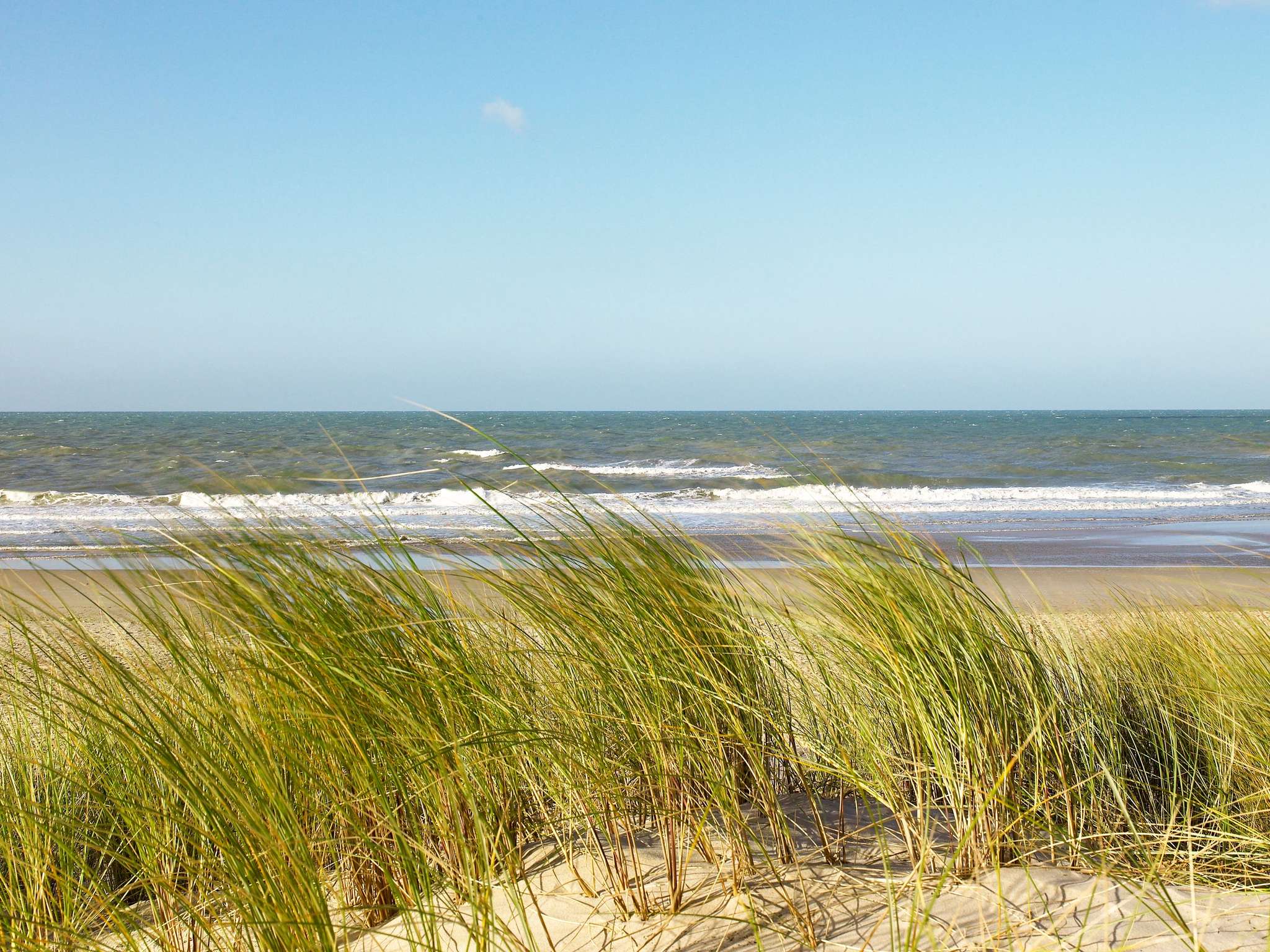 Hotel In Le Touquet Ibis Thala Destination Ibis Le Touquet Thala
