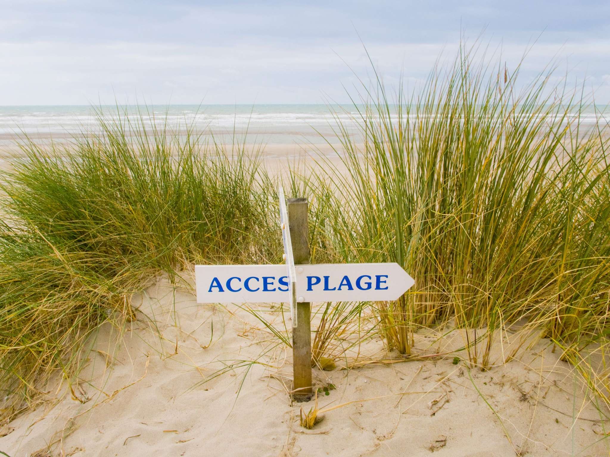 Foto - ibis Thalassa Le Touquet