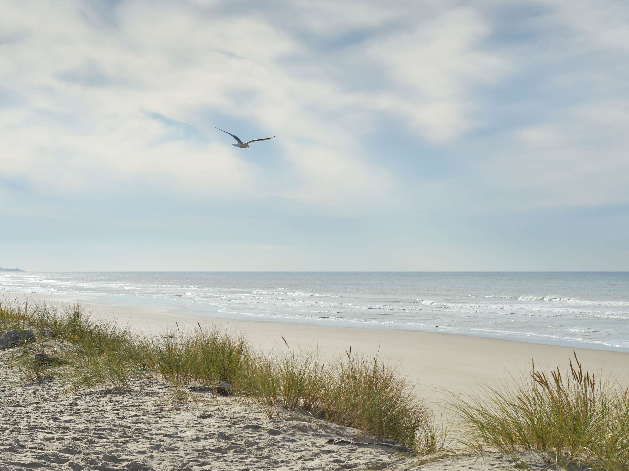 Foto - ibis Thalassa Le Touquet