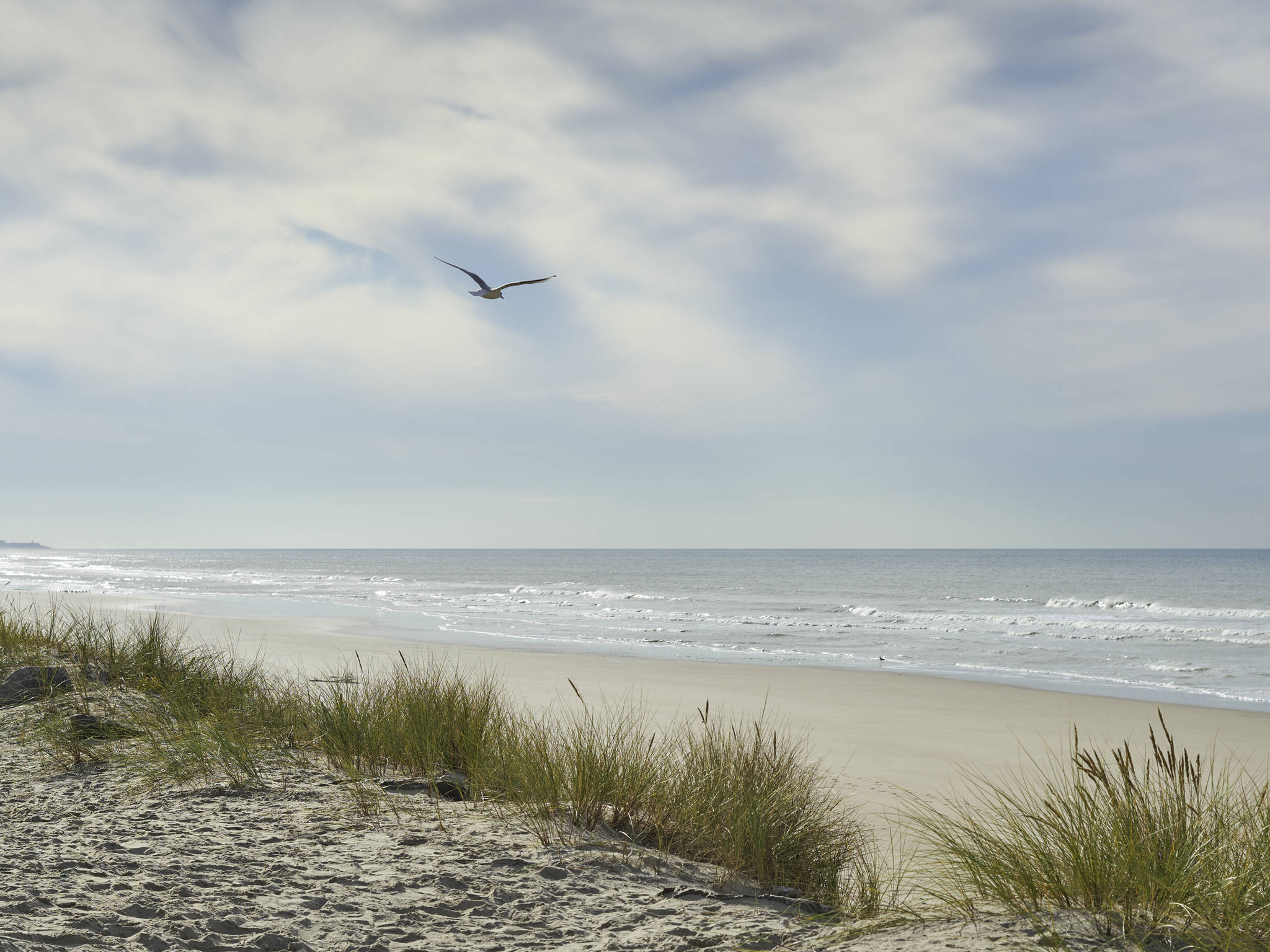 Foto - ibis Thalassa Le Touquet