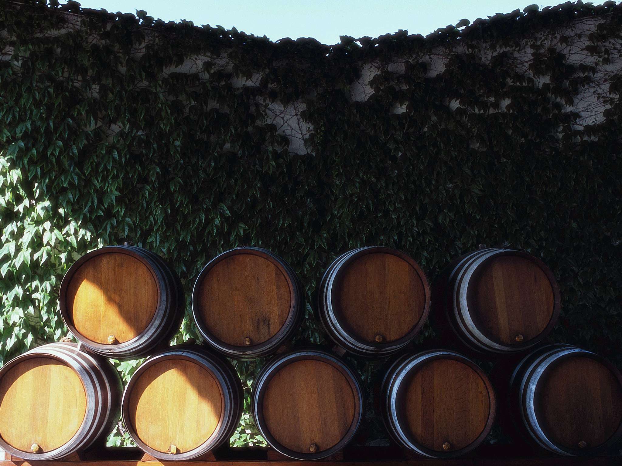 Photo - Pullman Bordeaux Lac