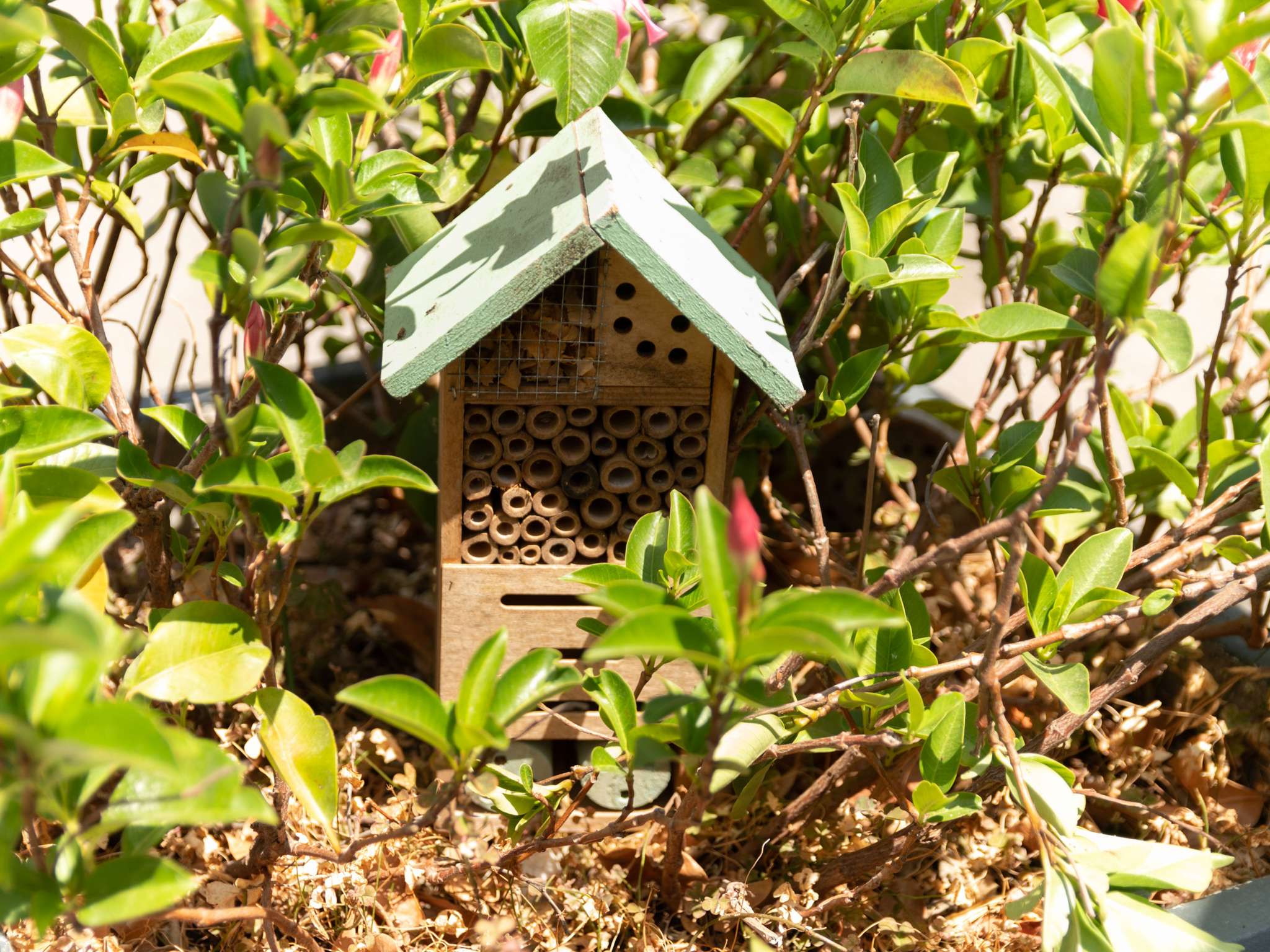 Foto - Hotel ibis Narbonne