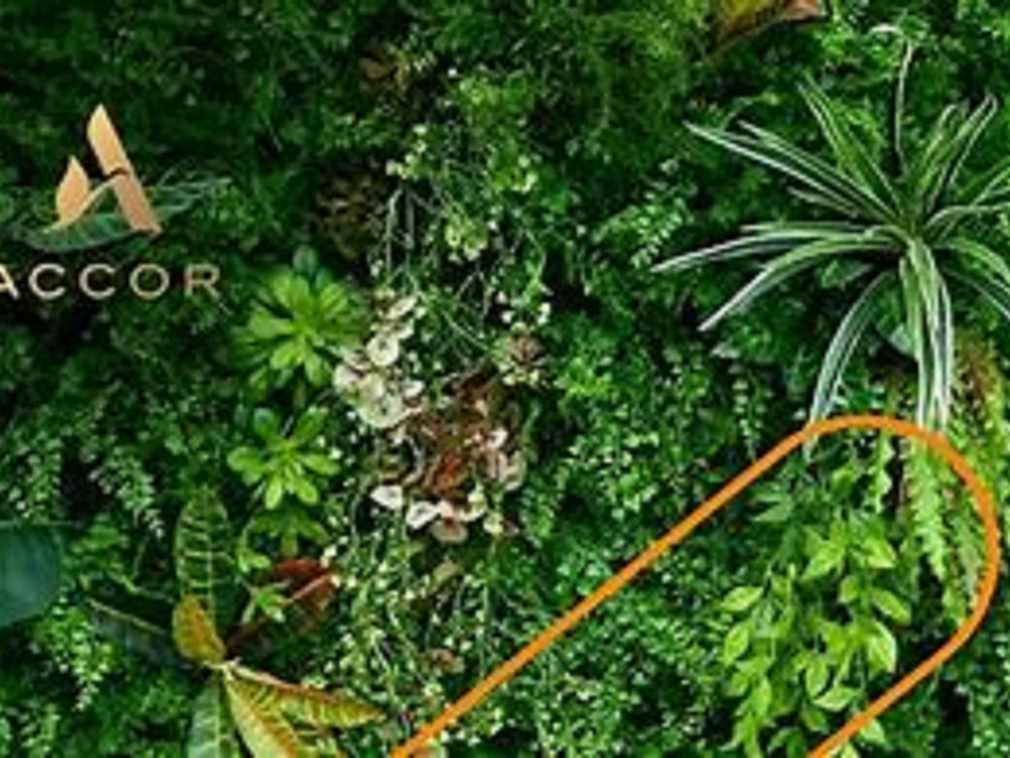 Foto - Hotel ibis Narbonne