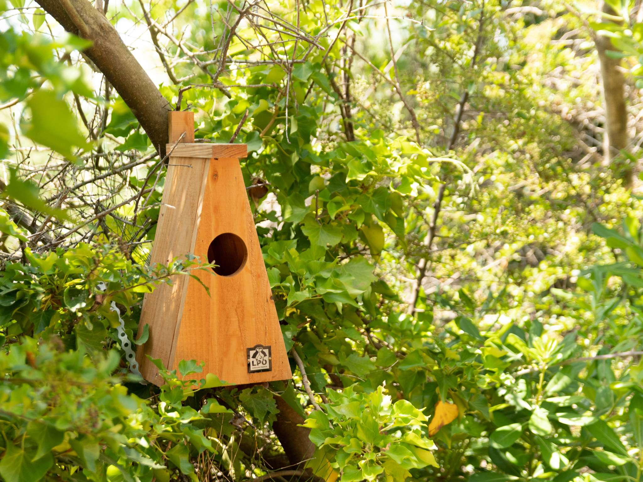 Foto - Hotel ibis Narbonne