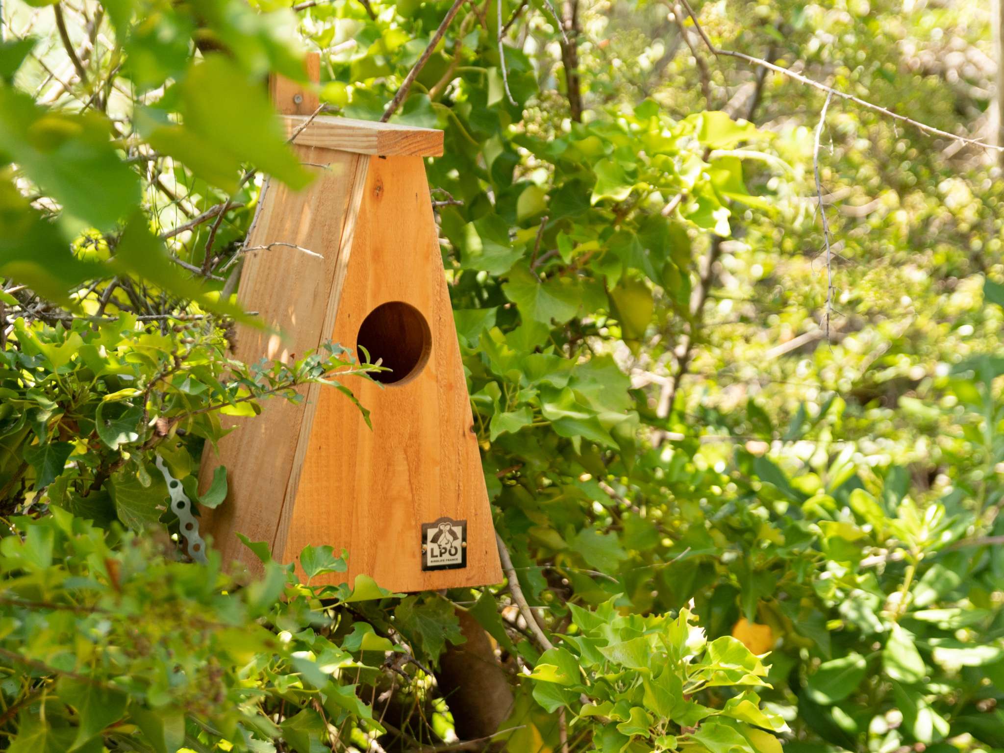 Foto - Hotel ibis Narbonne