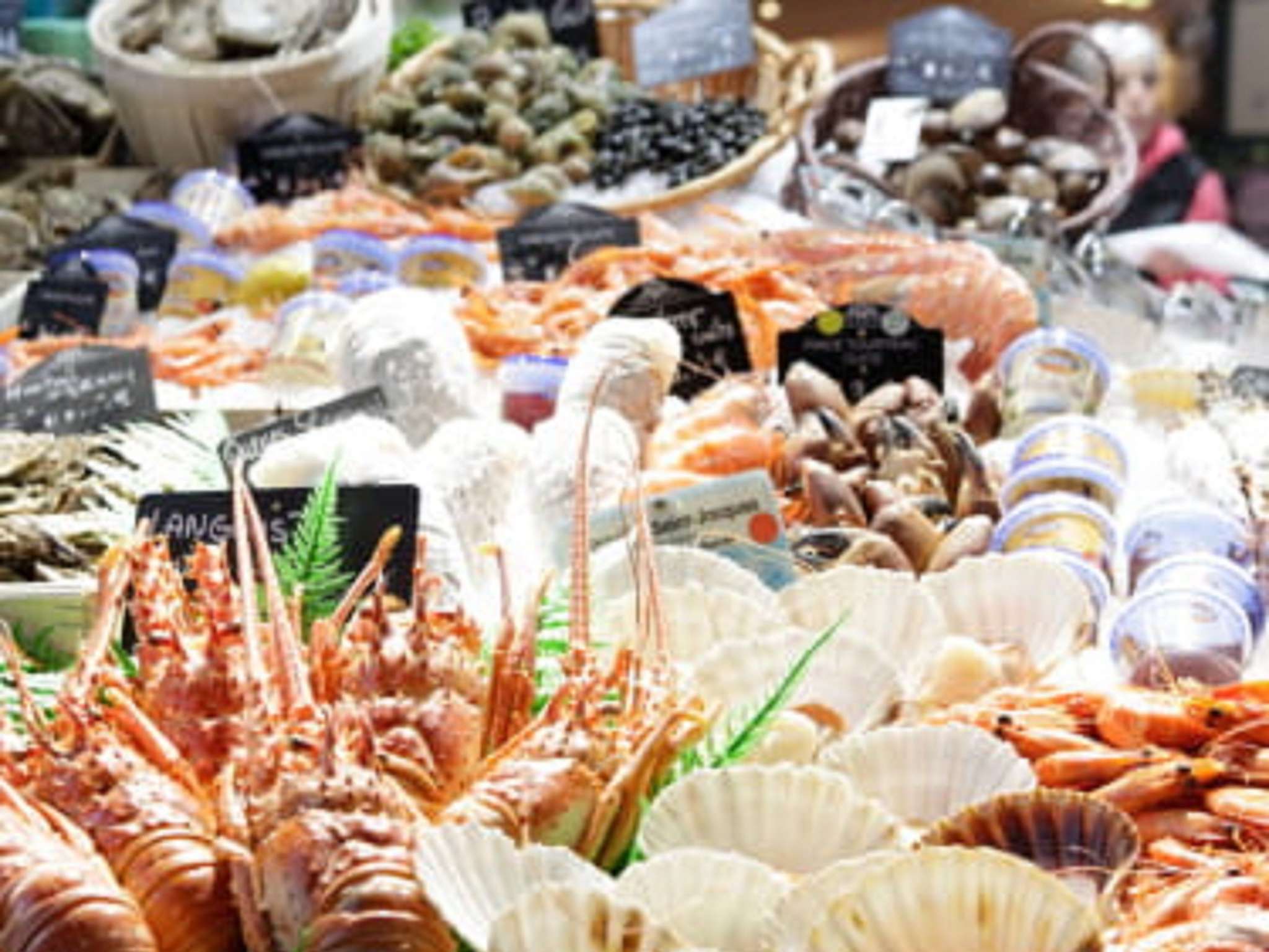 Foto - Hotel ibis Narbonne