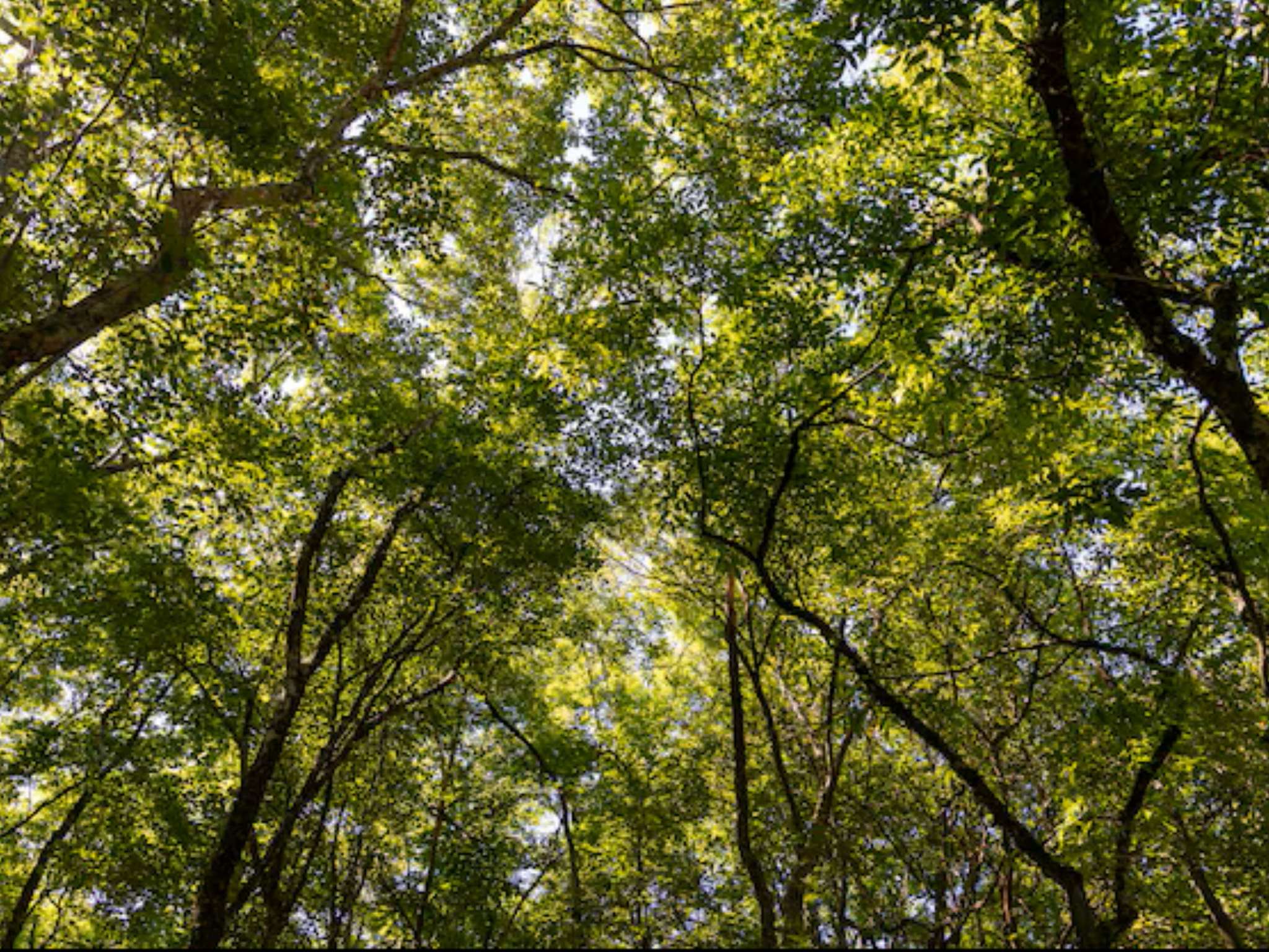 Photo - ibis Rennes Beaulieu