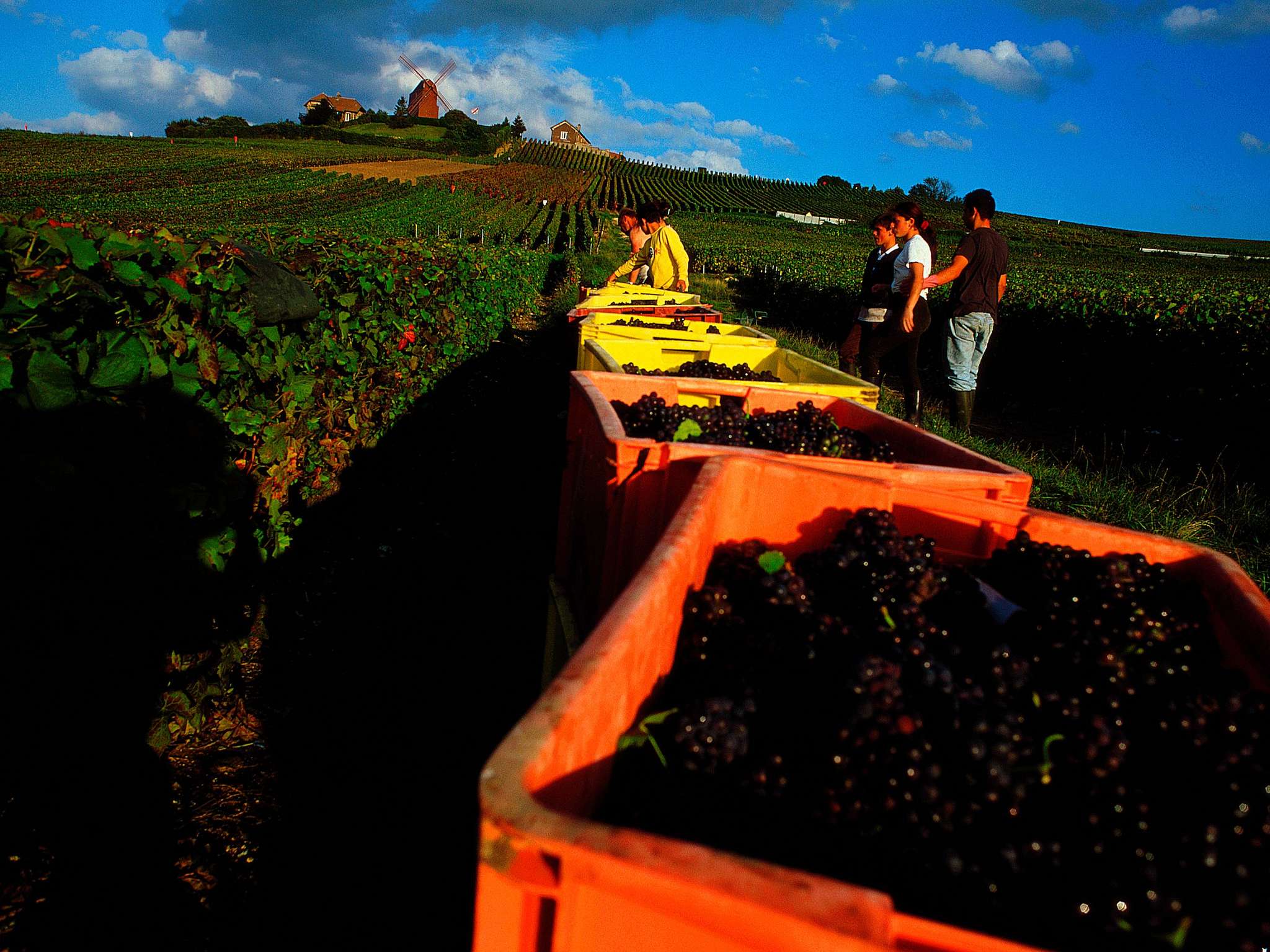 Photo - ibis Chalons en Champagne