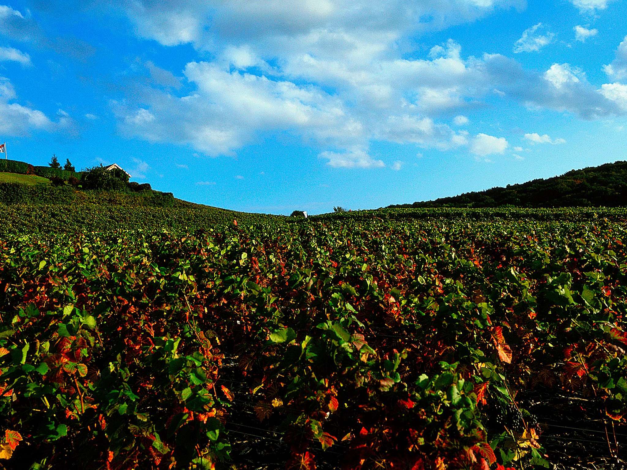Photo - ibis Chalons en Champagne